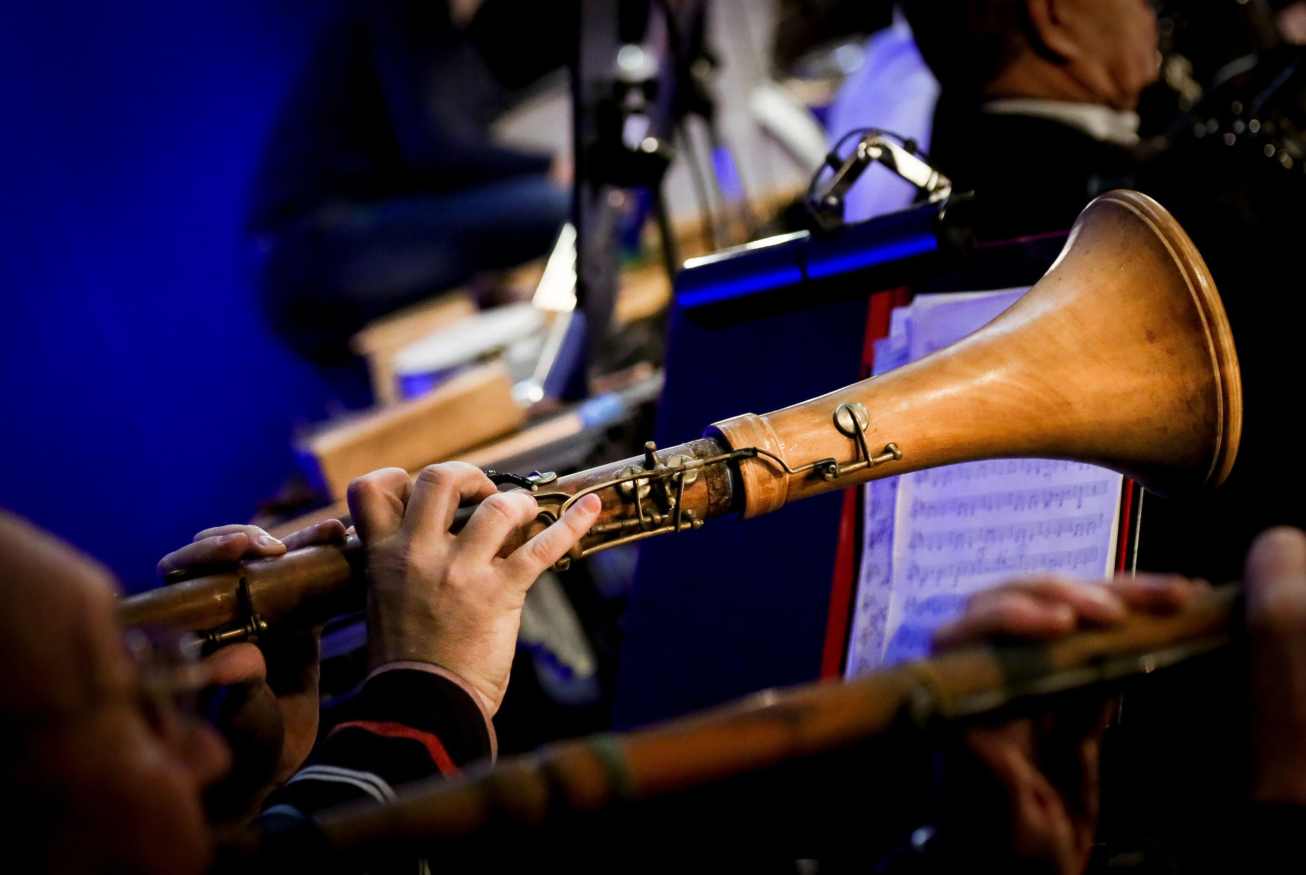 Осиповский оркестр в Новой опере. Дарья Письменюк / Darya Leitstern — фотограф, музыкант, журналист, путешественник