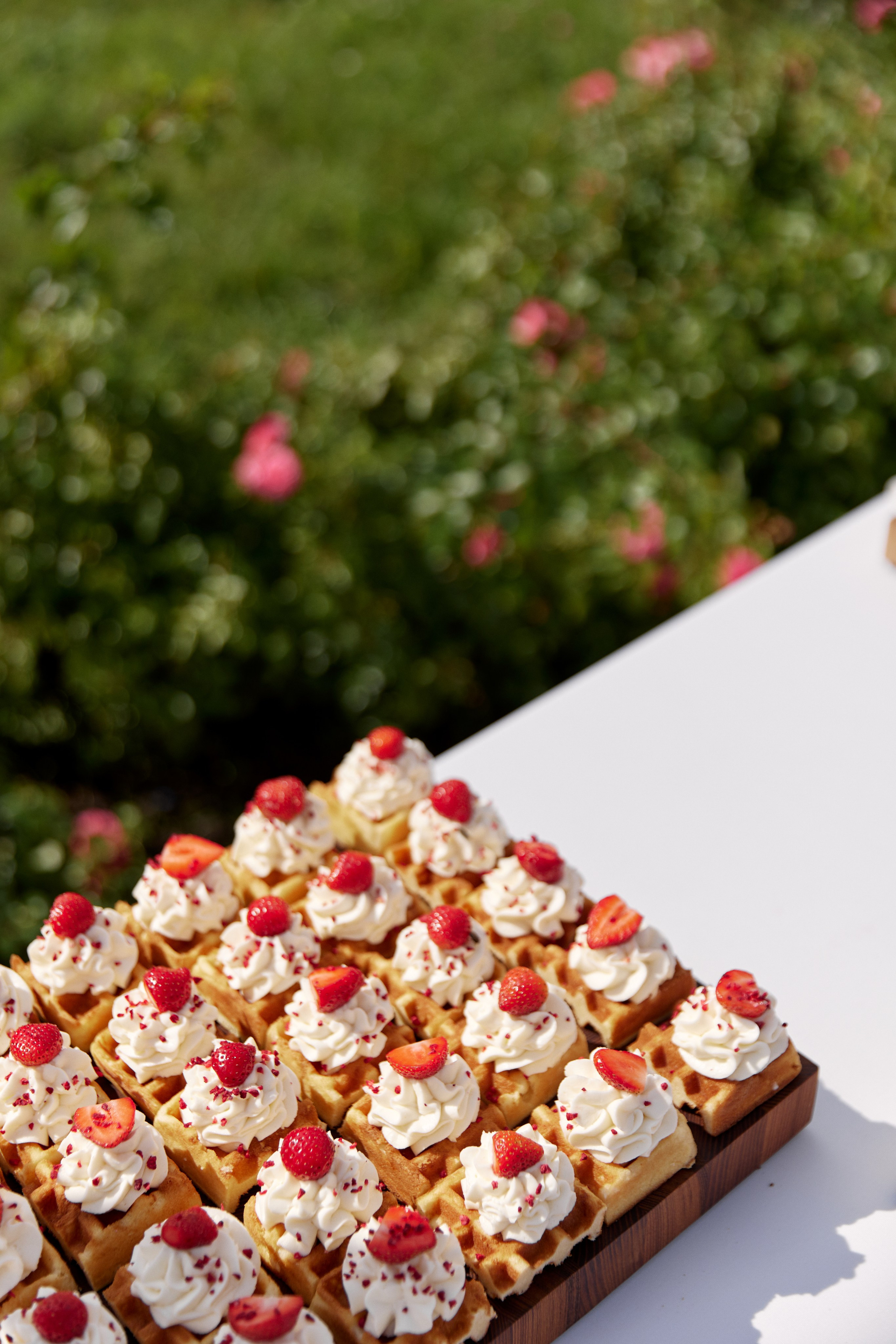 Анастасия & Михаил. Фотограф и преподаватель по фотографии в Воронеже Олеся Микерова