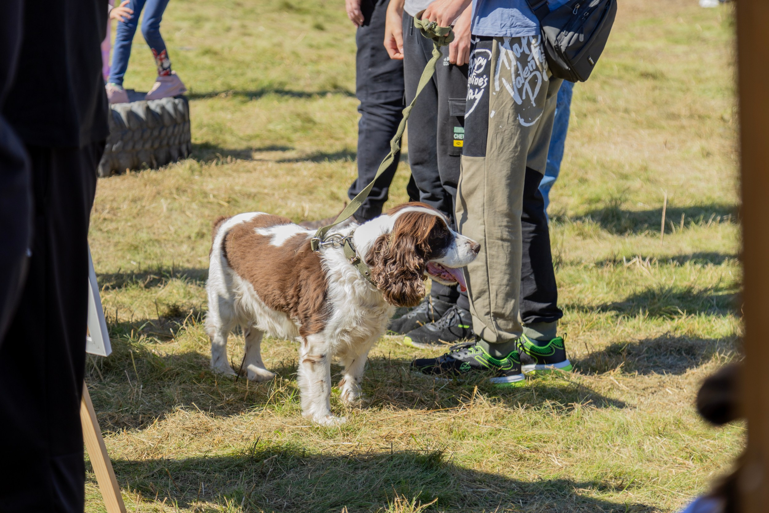 Фестиваль «Большой пикник», репортаж для ASAP Speedcubing. Репортажный и портретный фотограф в Владивостоке