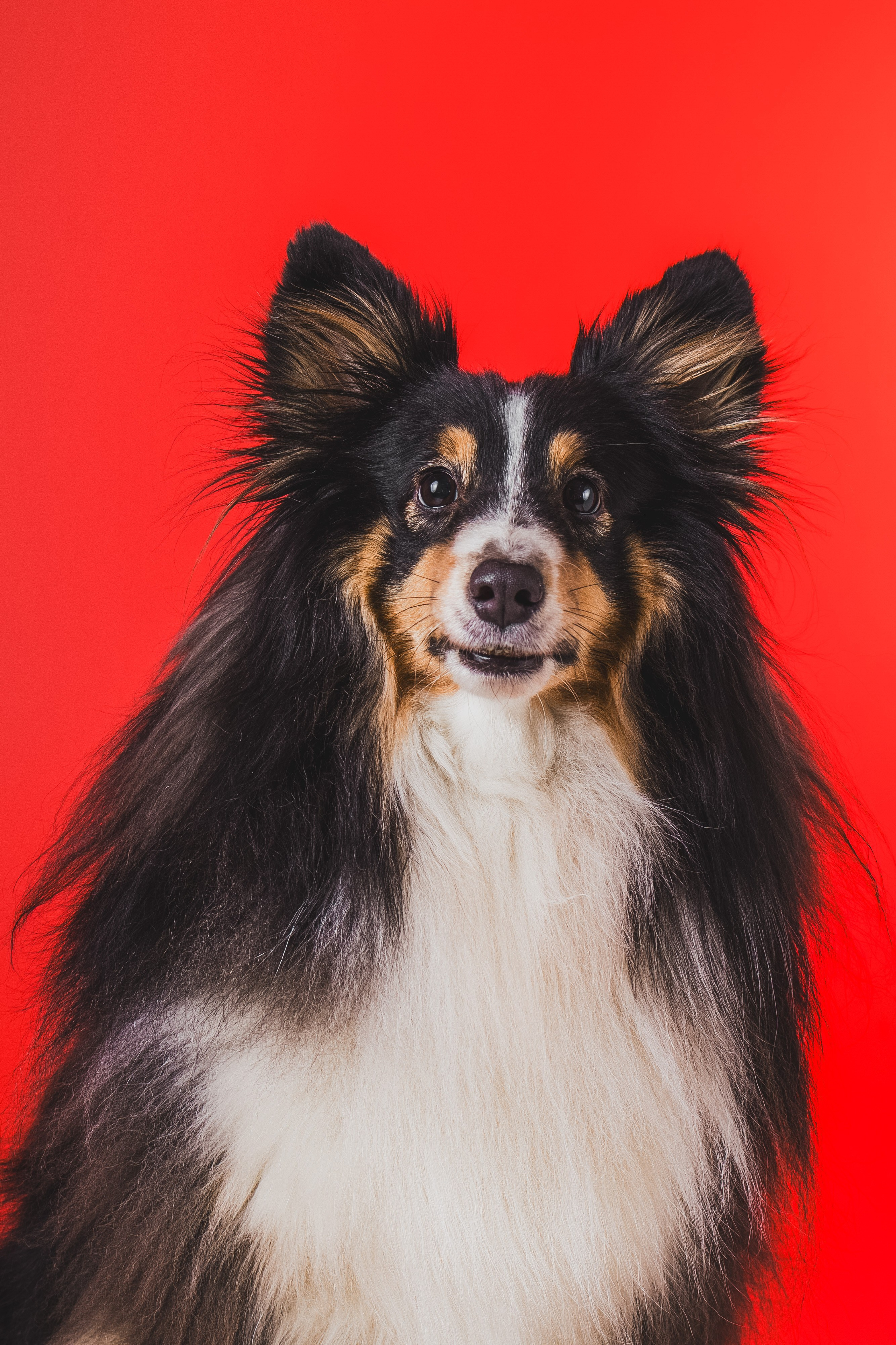 Воркшоп по импульсному свету