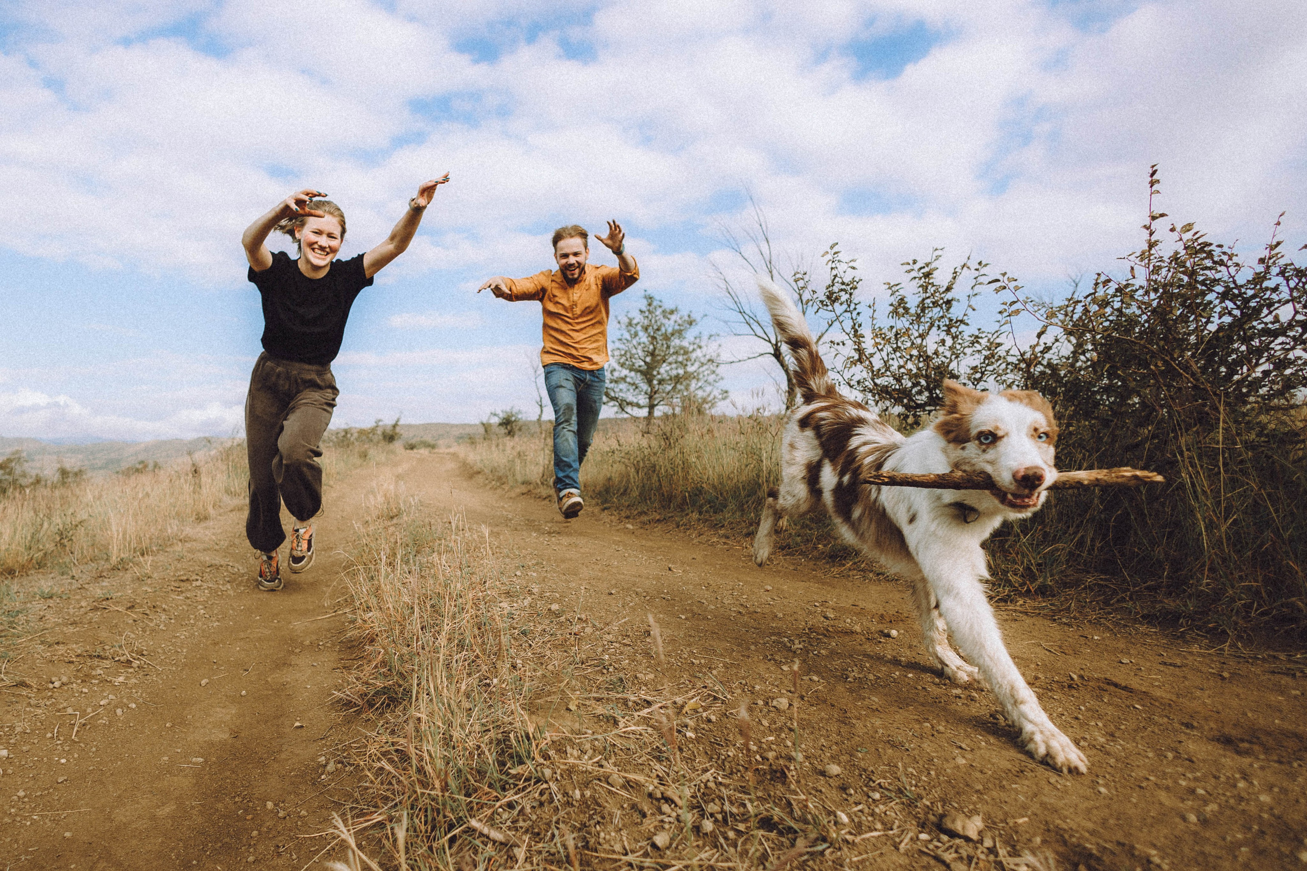 Как я выбираю, на какой объектив снимать животных?