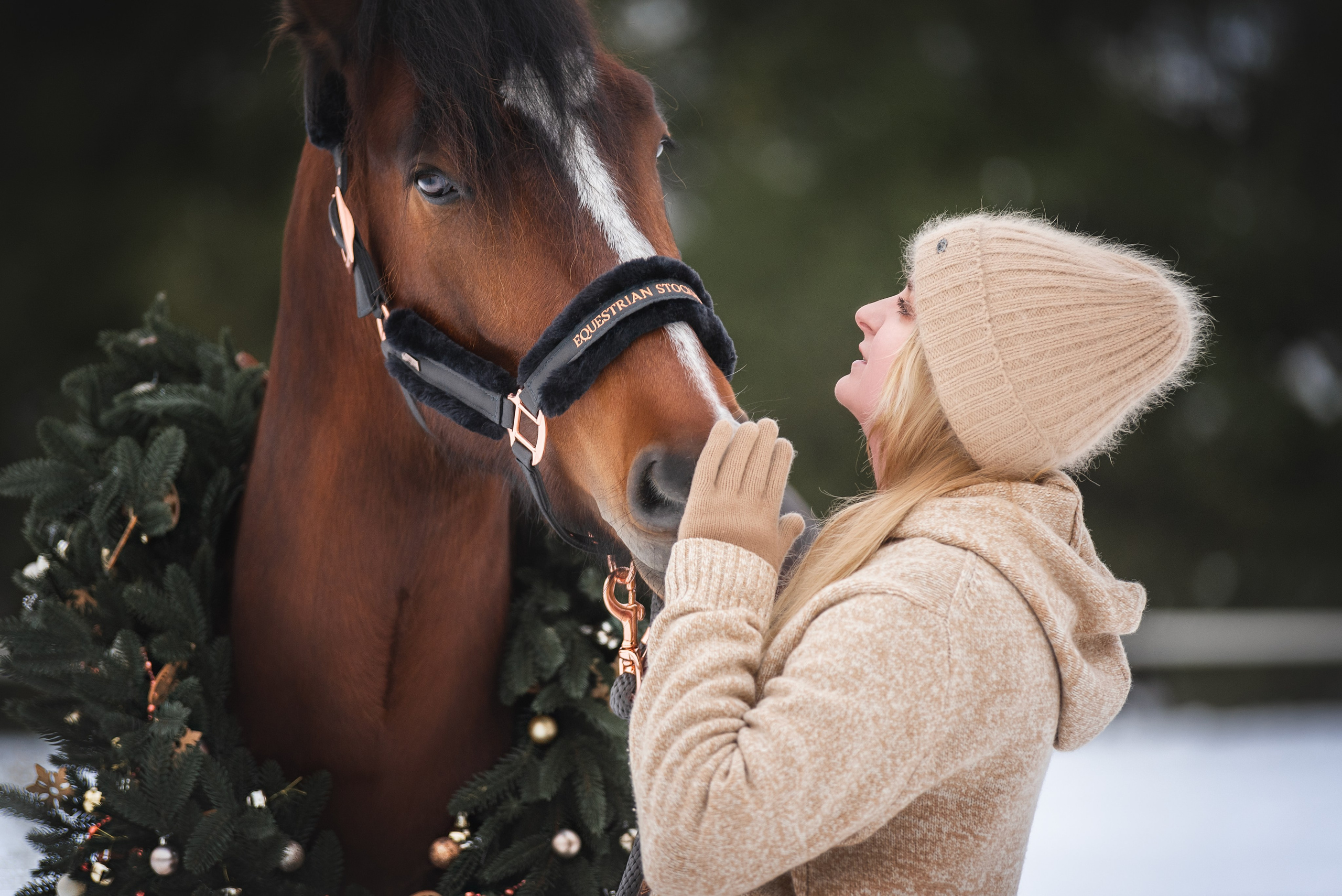 Новогодний Волконский. Конный фотограф Куракина Дарья • Фотосессии с лошадьми