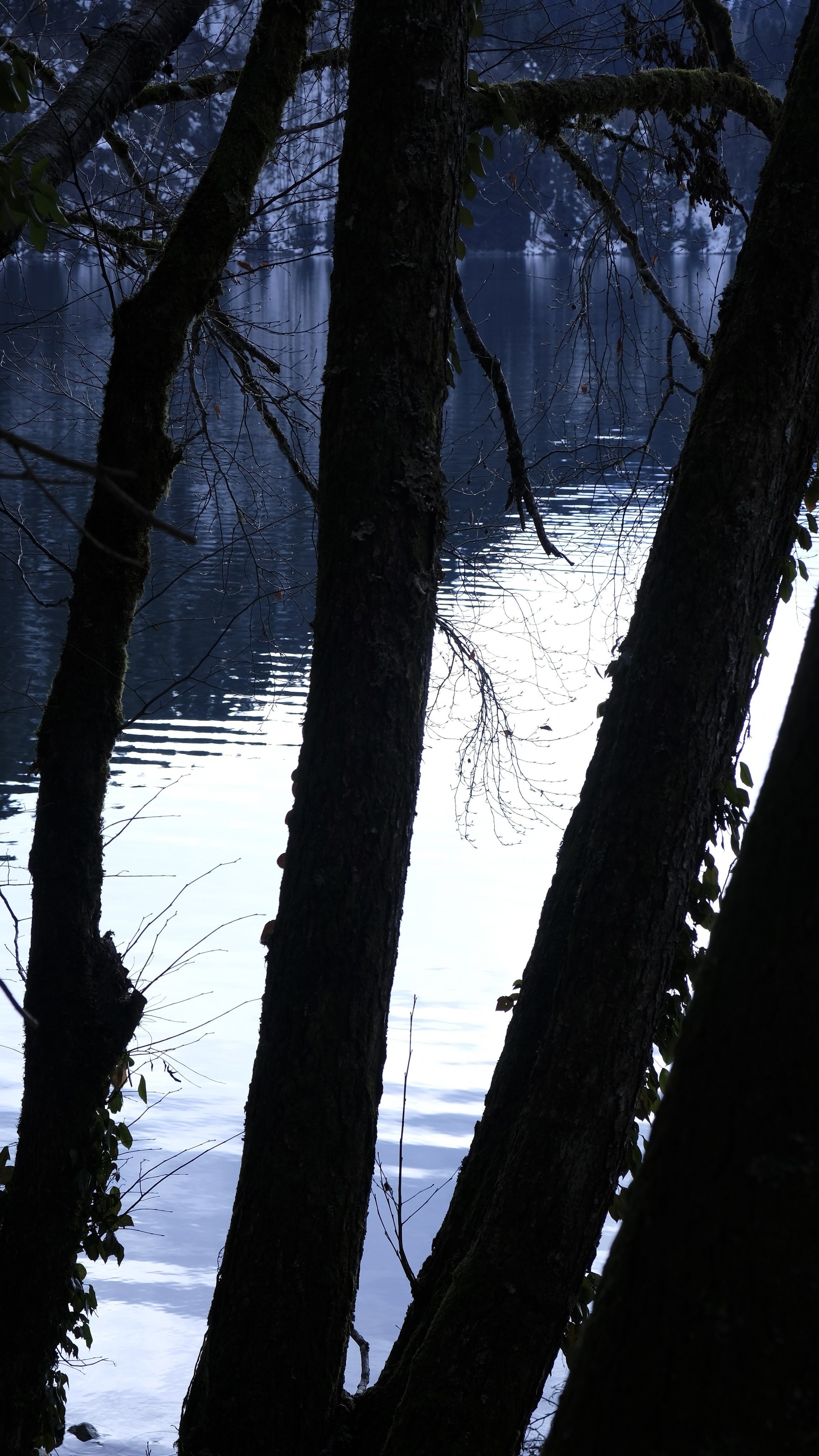 Сталинская дача на Рице зимой. Главная