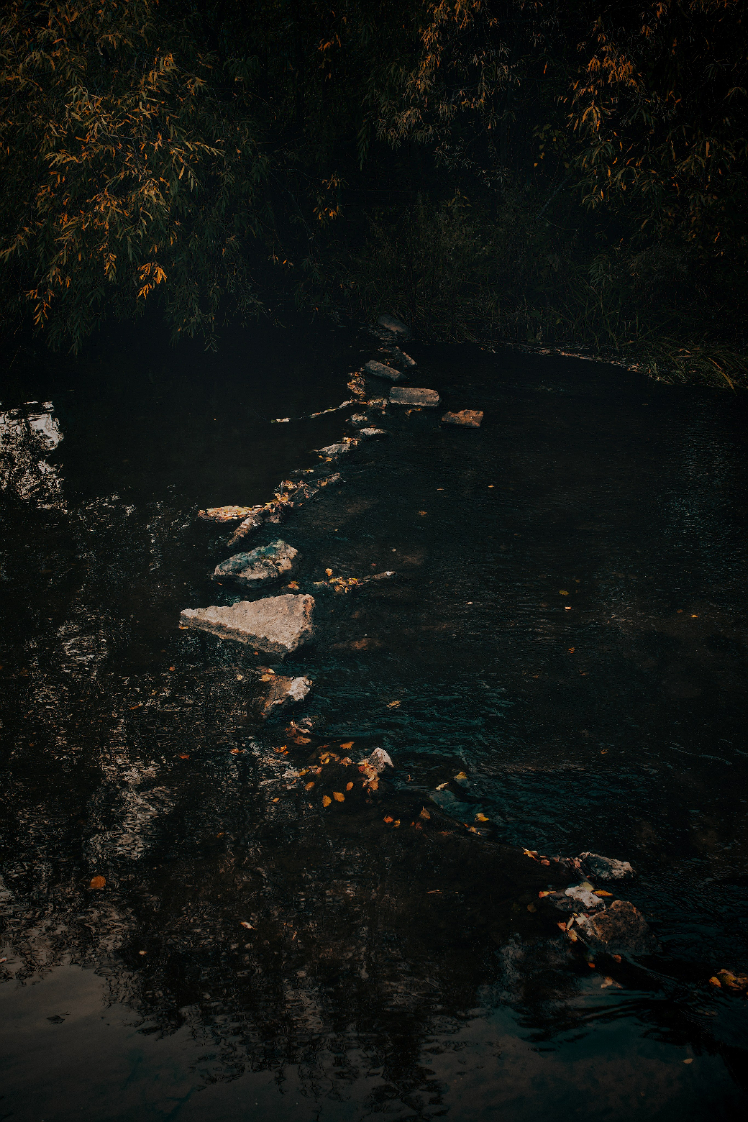 Пейзажи. Фотограф-любитель из Кирова Андрей Погребняк