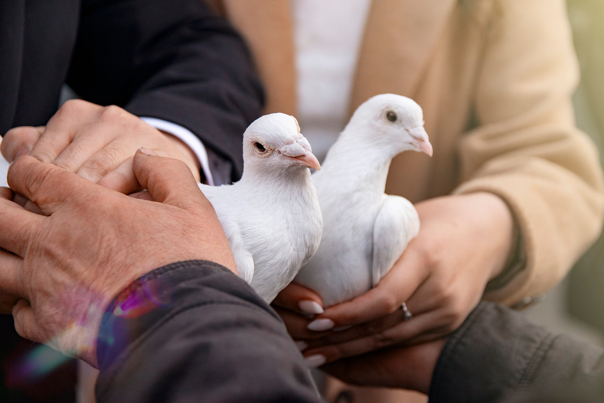 Свадебные кадры. Репортажный фотограф на дни рождения и юбилеи в Улан-Удэ — Алексей Раднаев