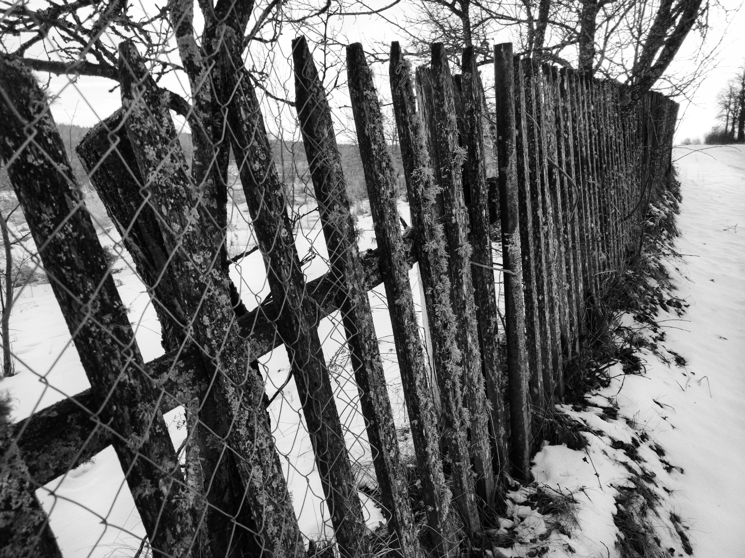 Жизнь деревенская. Фотограф Антон Швец — Монохромная реальность