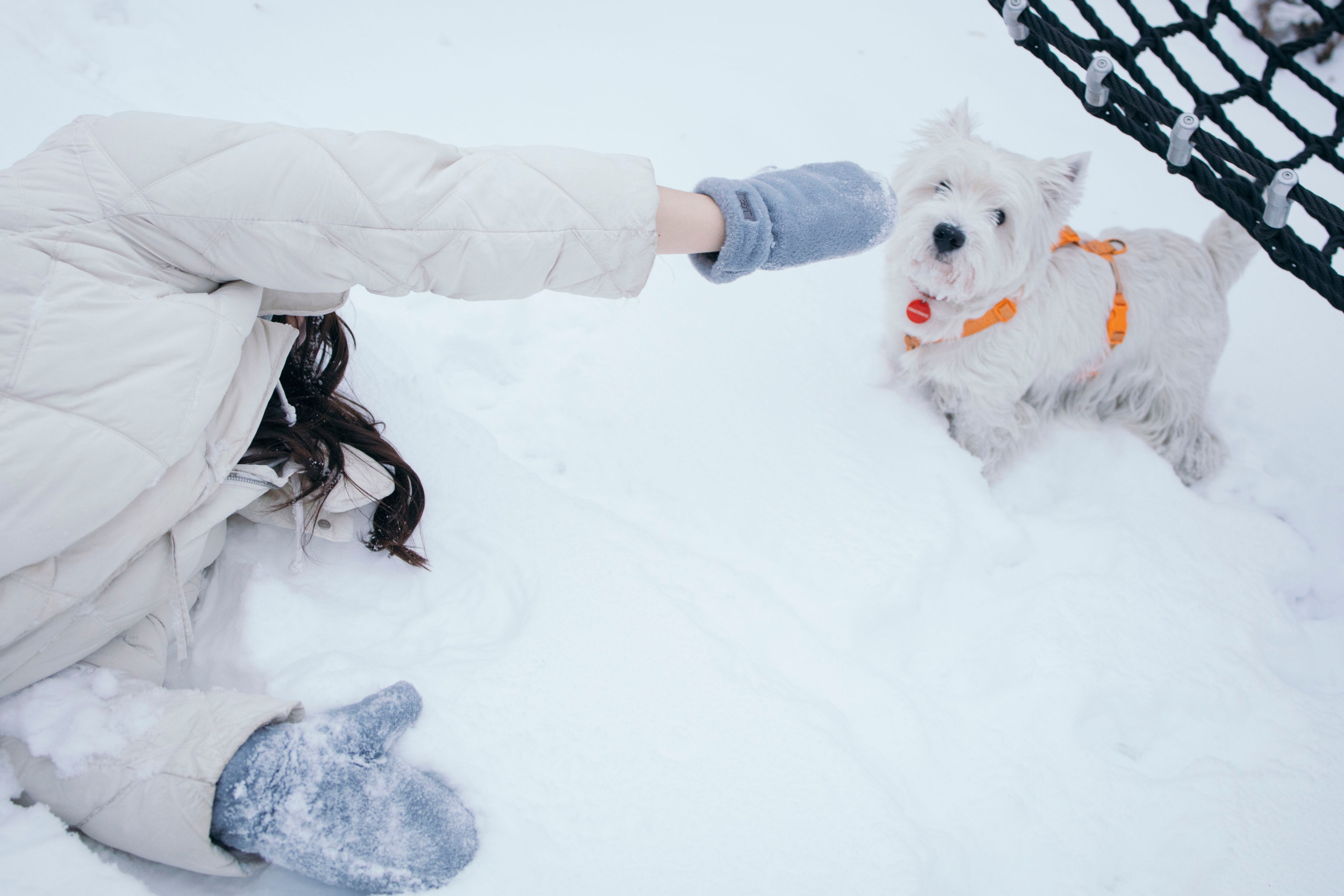 Арина и Обеликс. Фотограф Виктория Куприянова