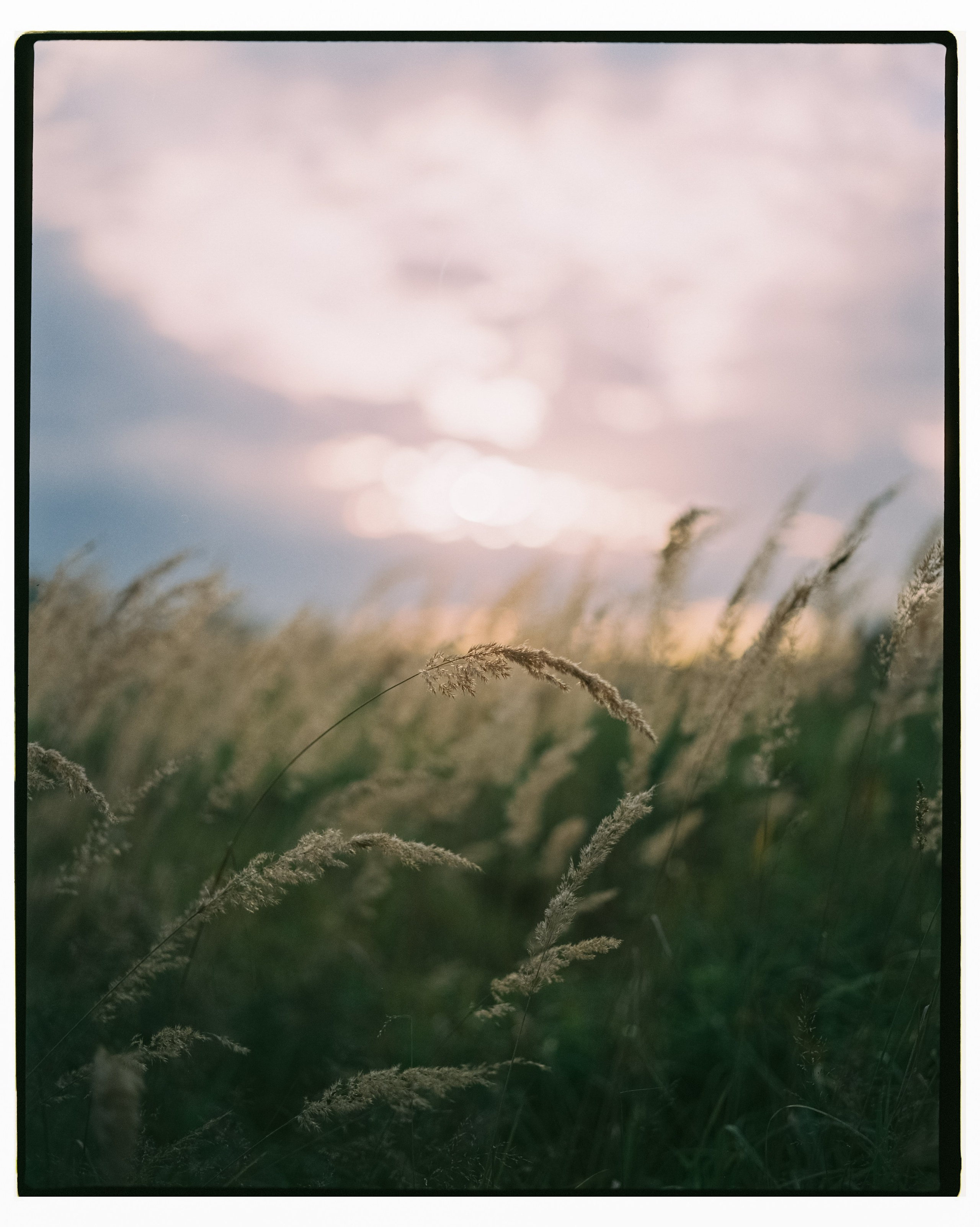 Примеры фотографий Pentax 67 объектив SMC Pentax 67 105mm f2.4