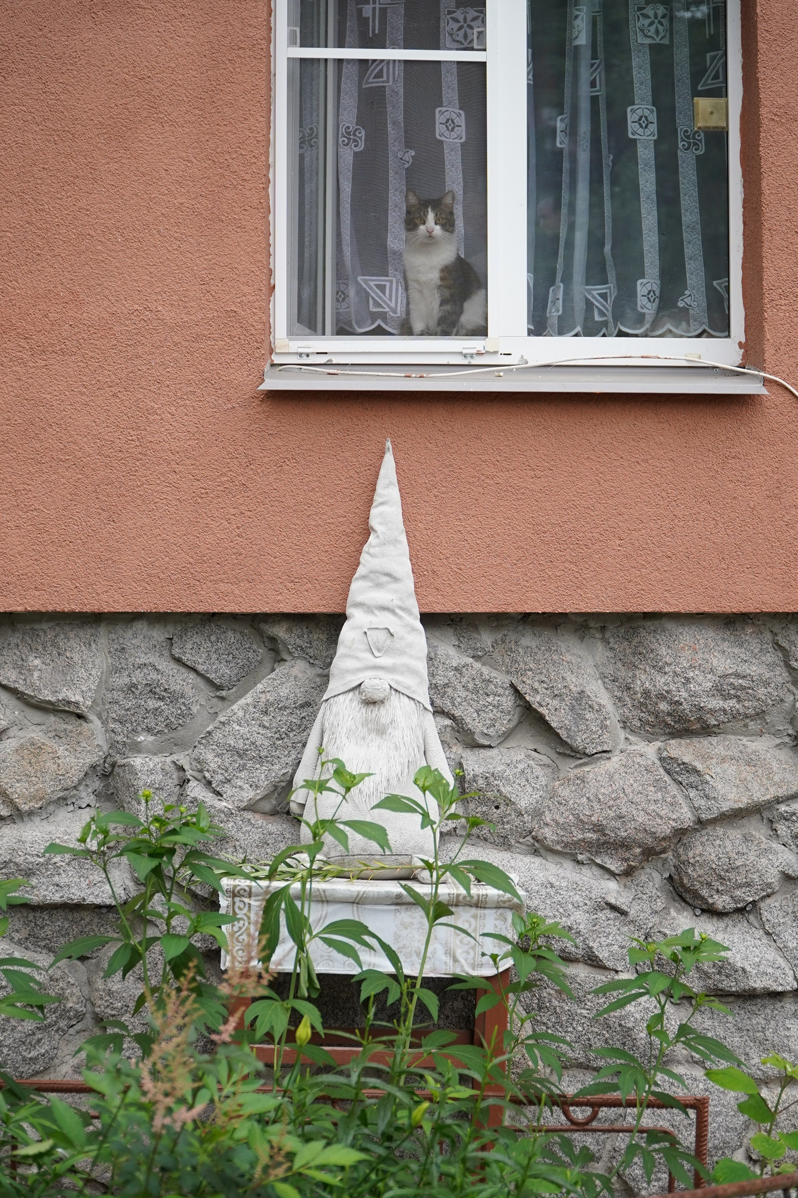 ВЫБОРГ. Июль 2024. Фотограф Наталья Погодина в г. Обнинске