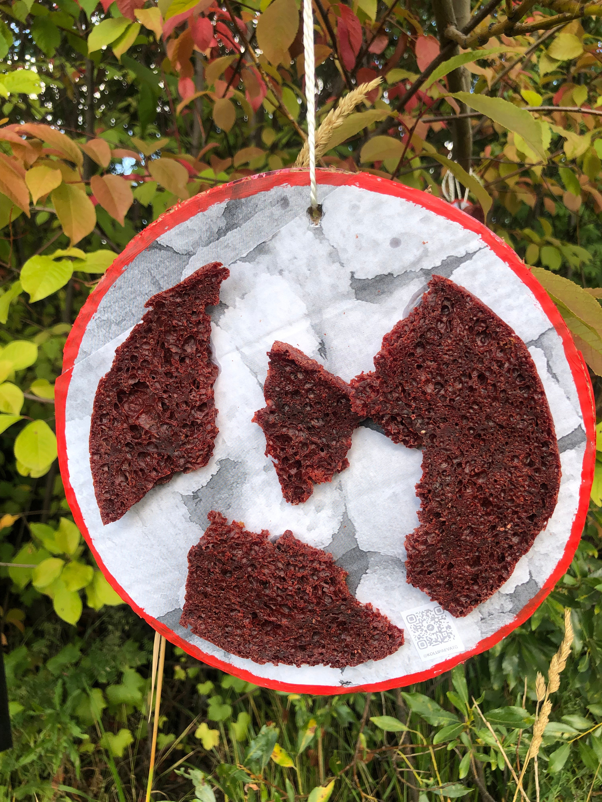 Красненькая биеннале 2023 (СПБ)