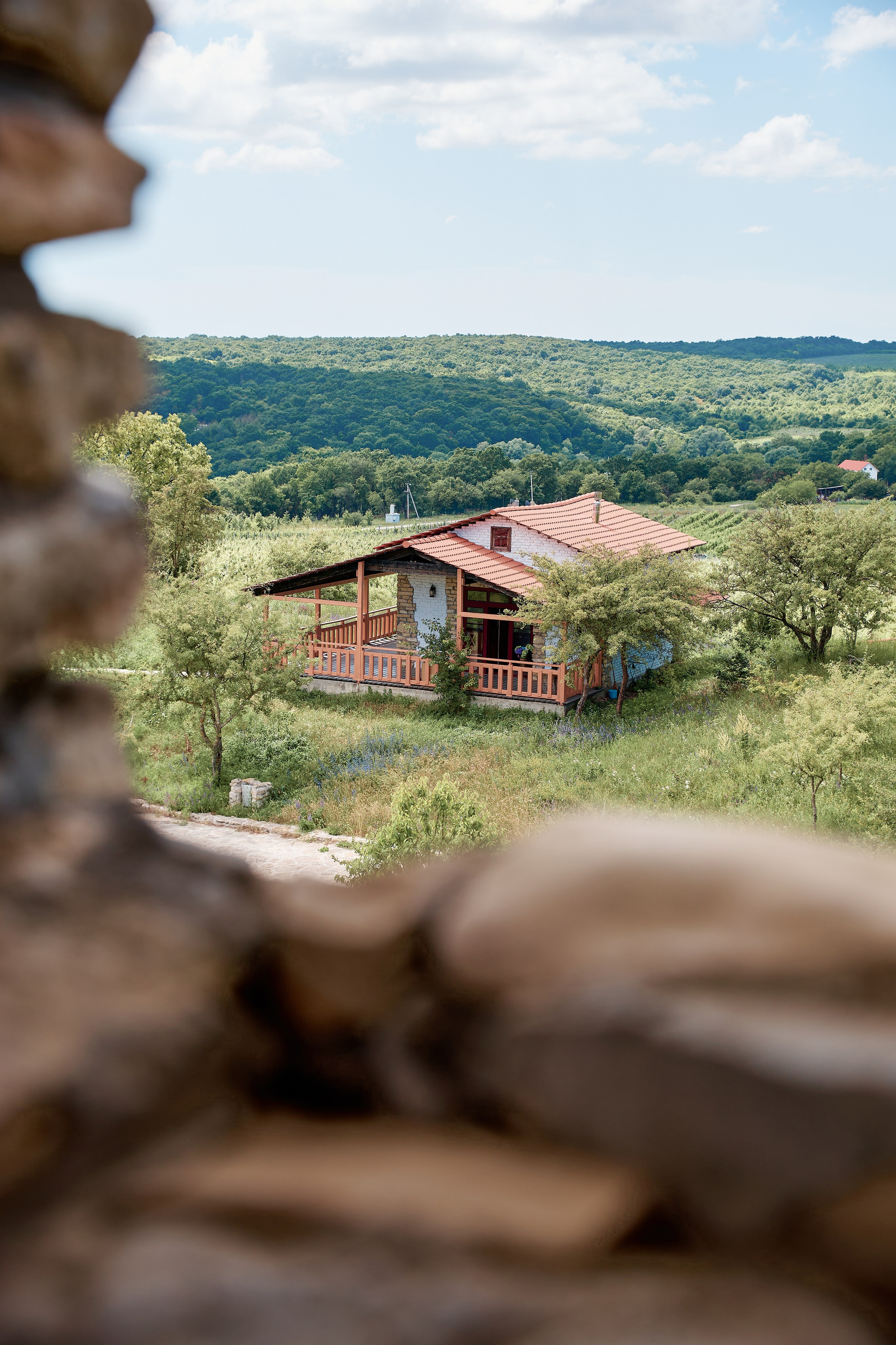 ОДНА ВИНОДЕЛЬНЯ. Репортажный и мужской фотограф в Краснодаре. Фотограф в Краснодаре