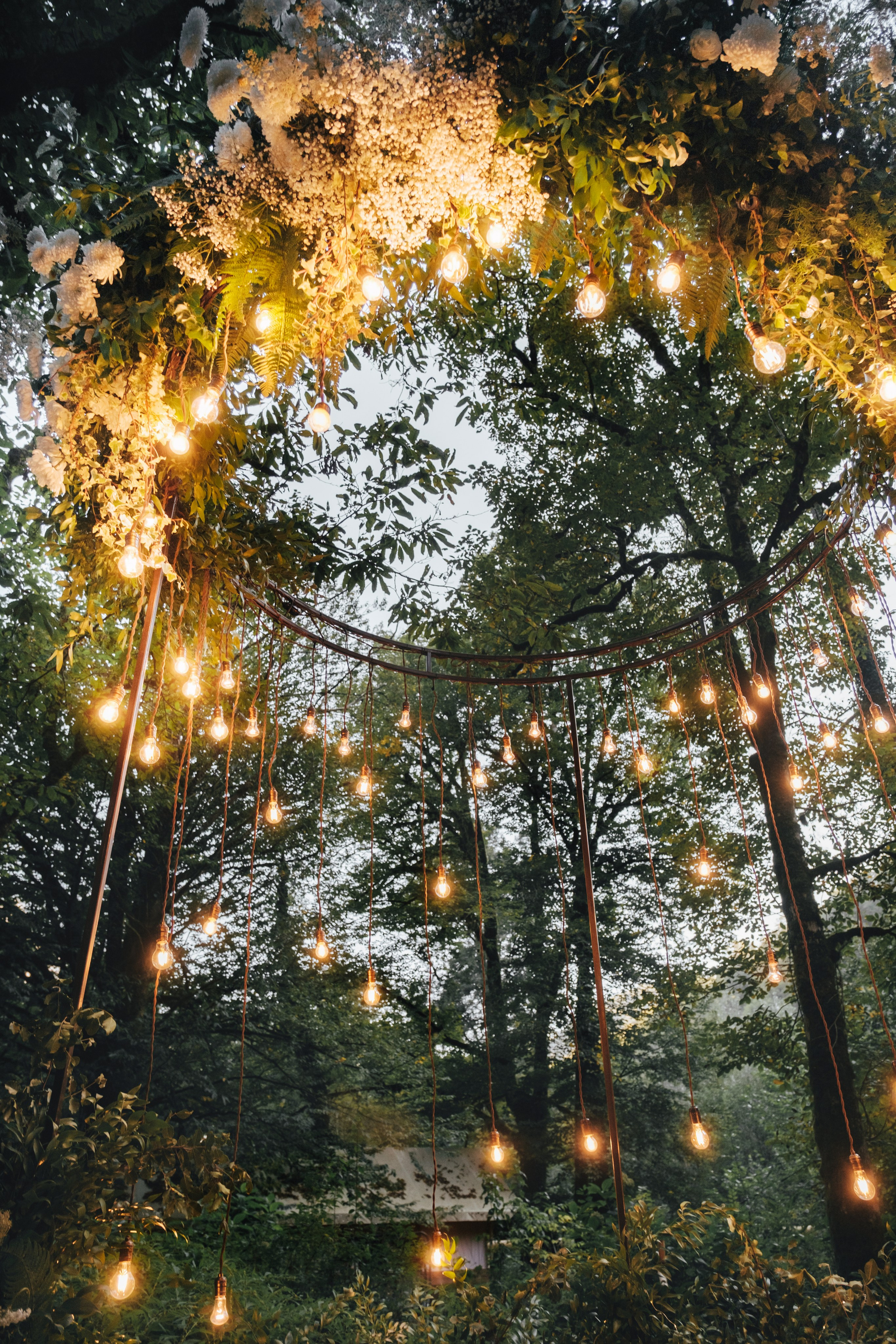 Кот и Дракон. Свадебный Видеограф Фотограф в Сочи