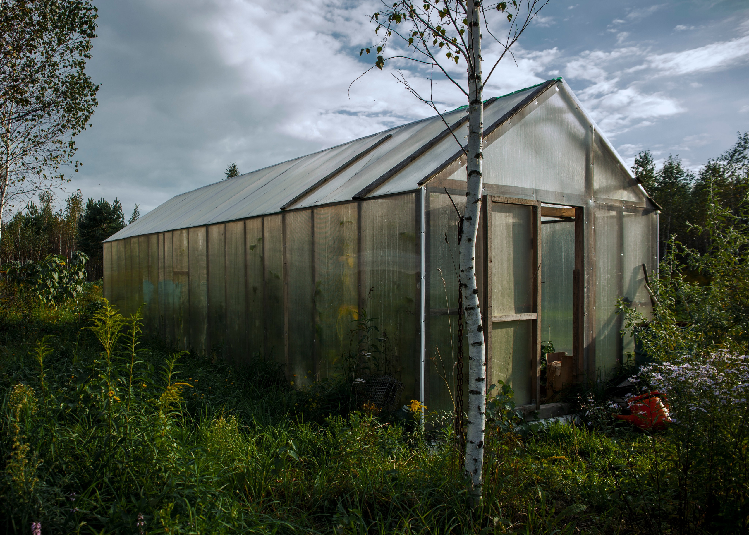 Backstage со съёмок фильма «Reverenсе». Портретный фотограф в Москве Дарья Цезария