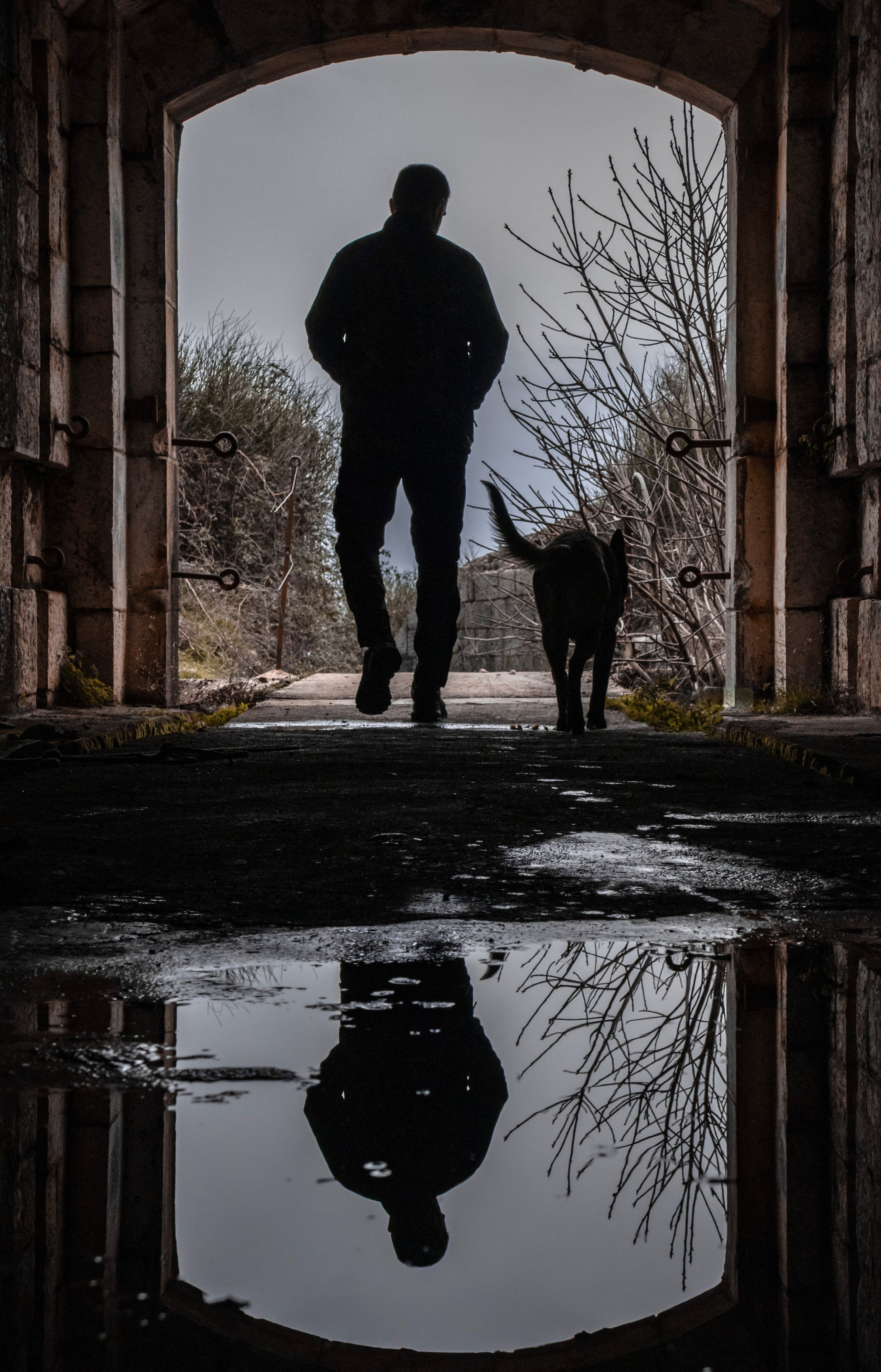 Photoshoot with a dog in Montenegro. Portrait photographer in Tivat Montenegro Katerina Kirsanova