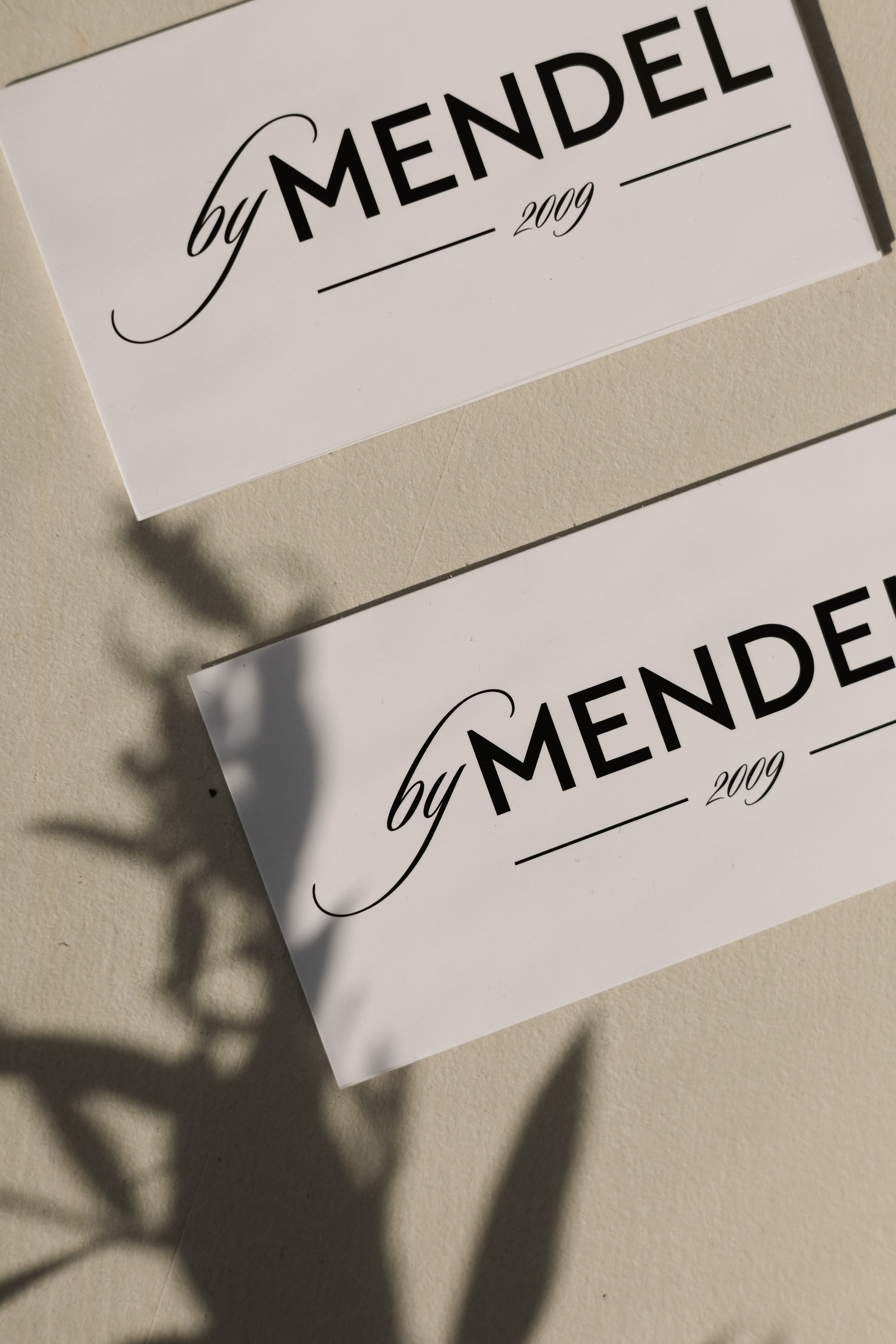 MENDEL. Бренд-дизайнер Карина Цыганкова, Санкт-Петербург