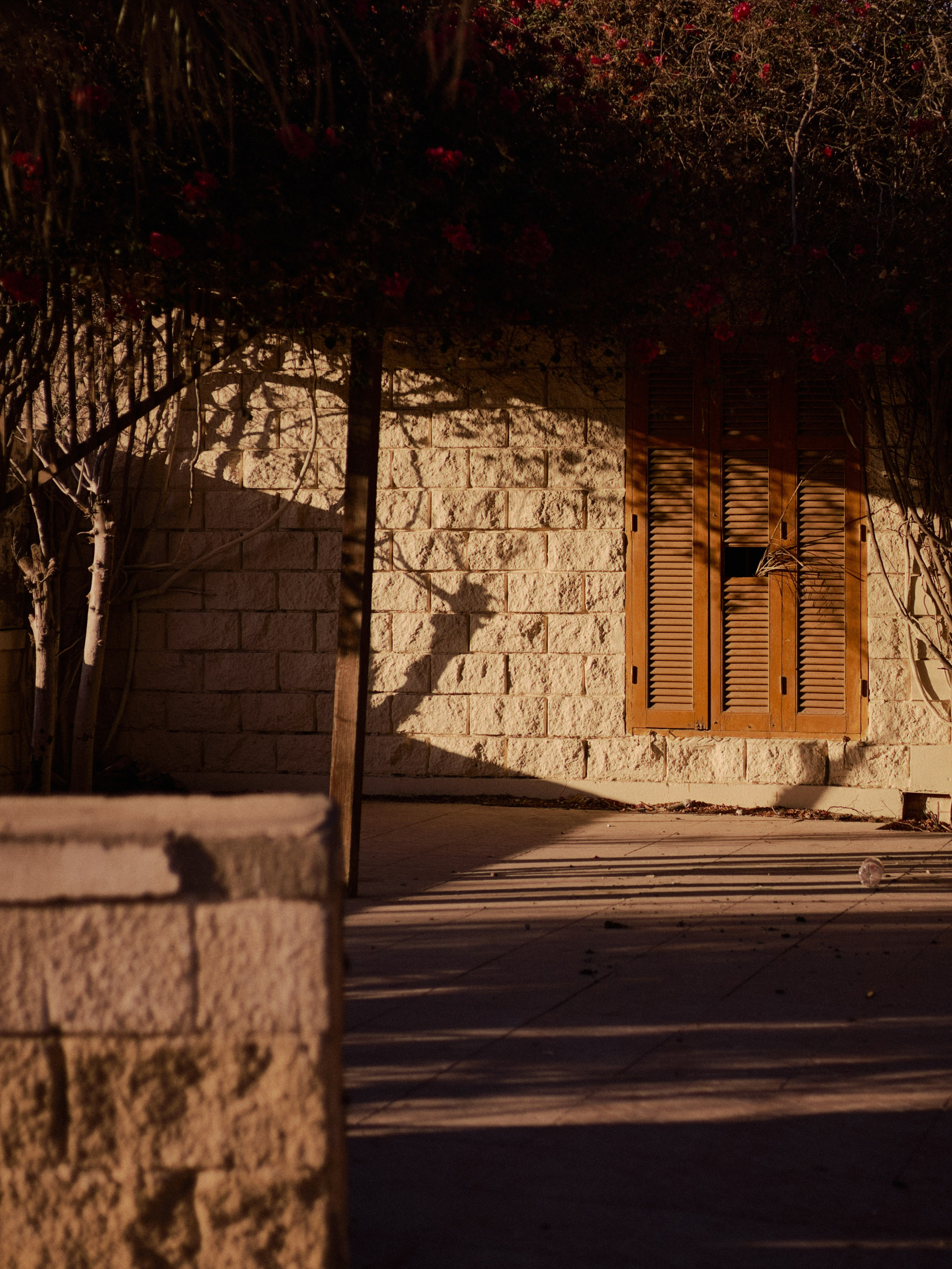 Другое 3. Jorgis Talè — photographer, kind person, teacher of arts and other mag