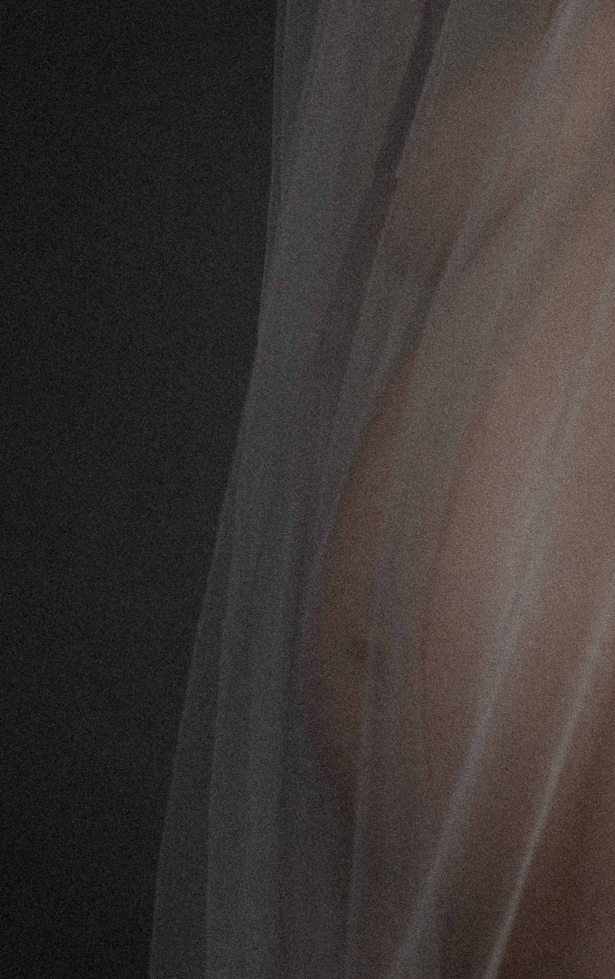 Диана. Свадебный фотограф | Москва