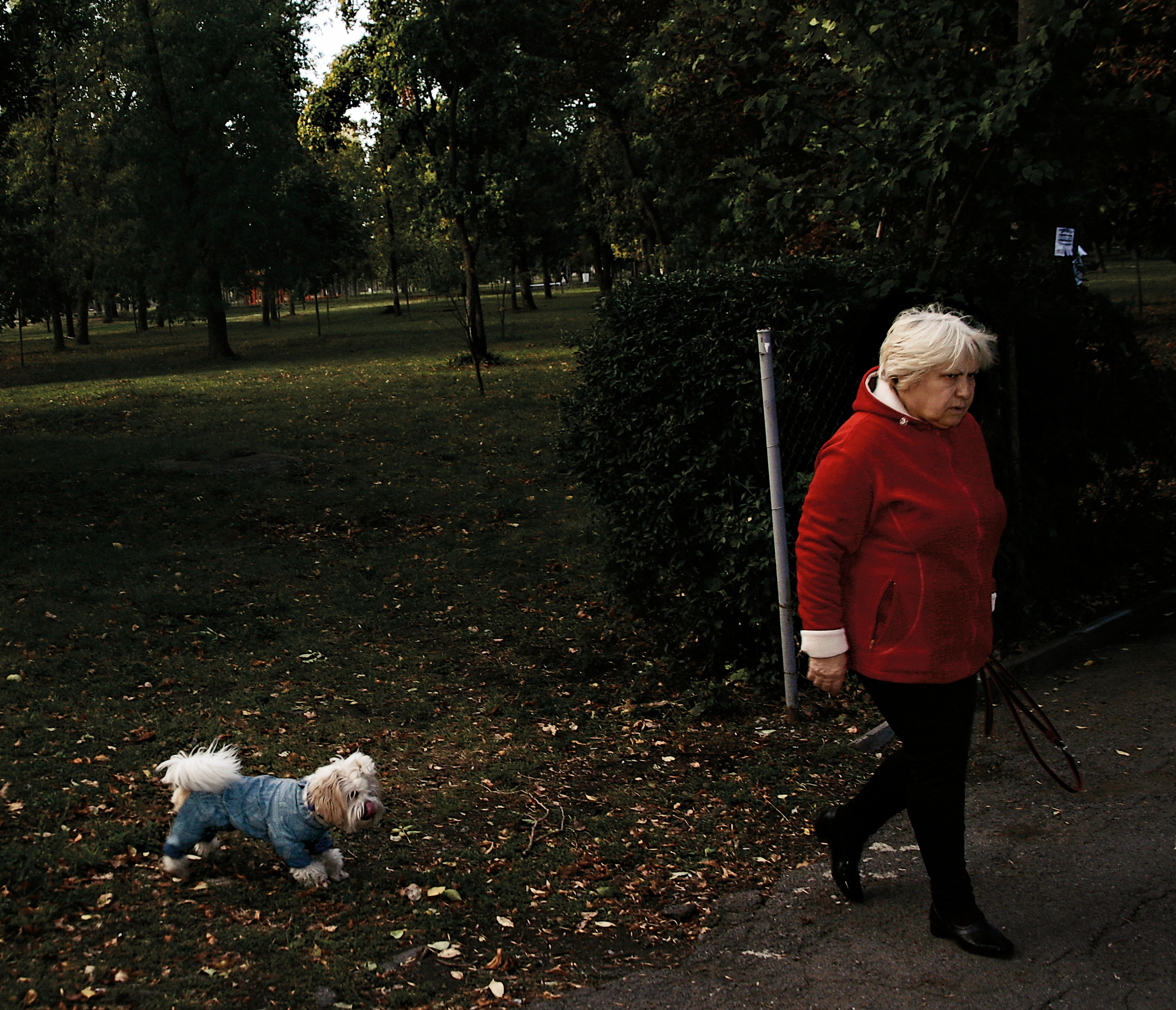 Фотограф Денис Зимин, сьёмка для маркетплейсов в городе Ростове-на-Дон. Выпускные альбомы, фотограф Денис Зимин в городе Ростове-на-Дону