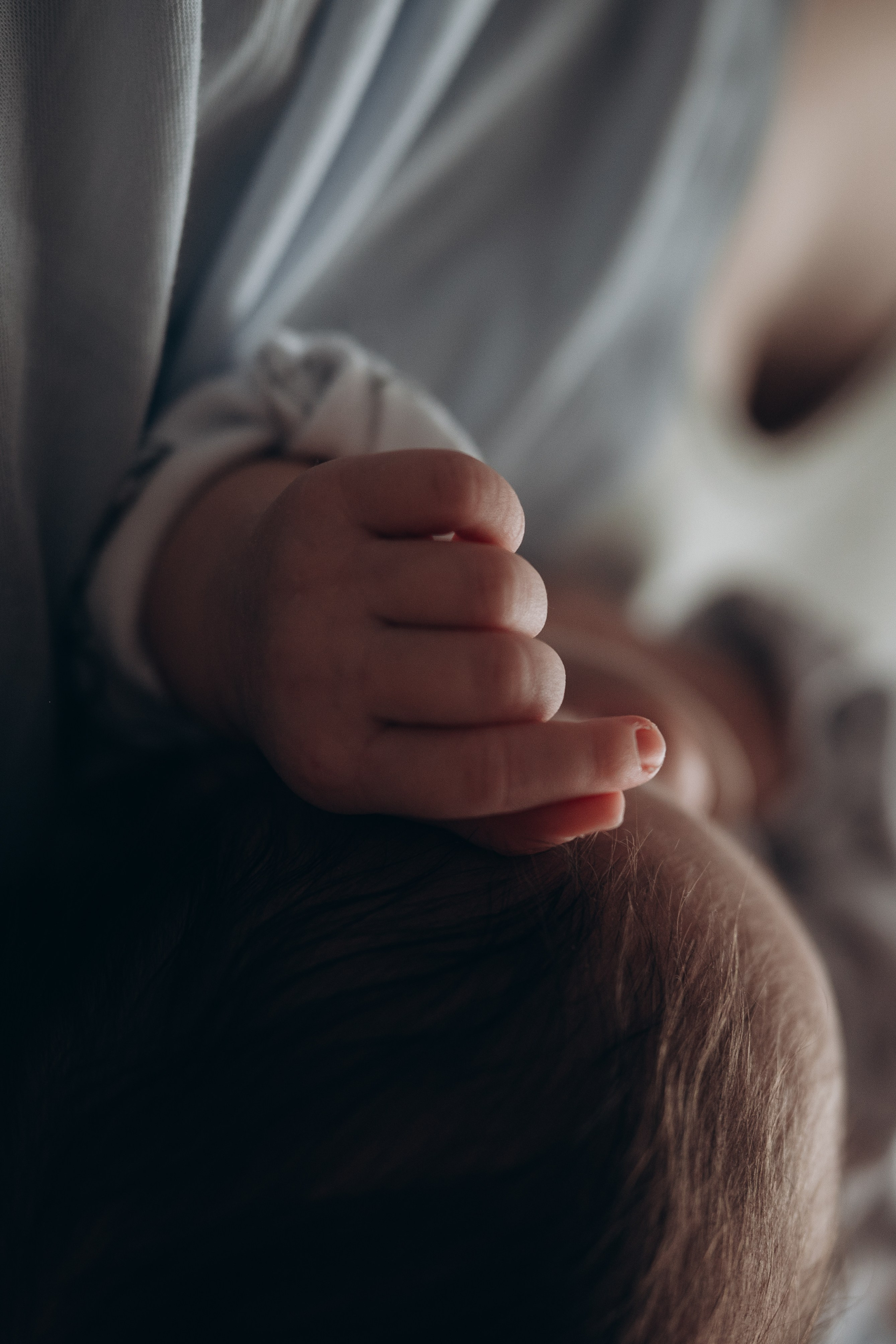 Ольга, Виктория и Вероника. Семейный фотограф в Москве Дарья Пузикова