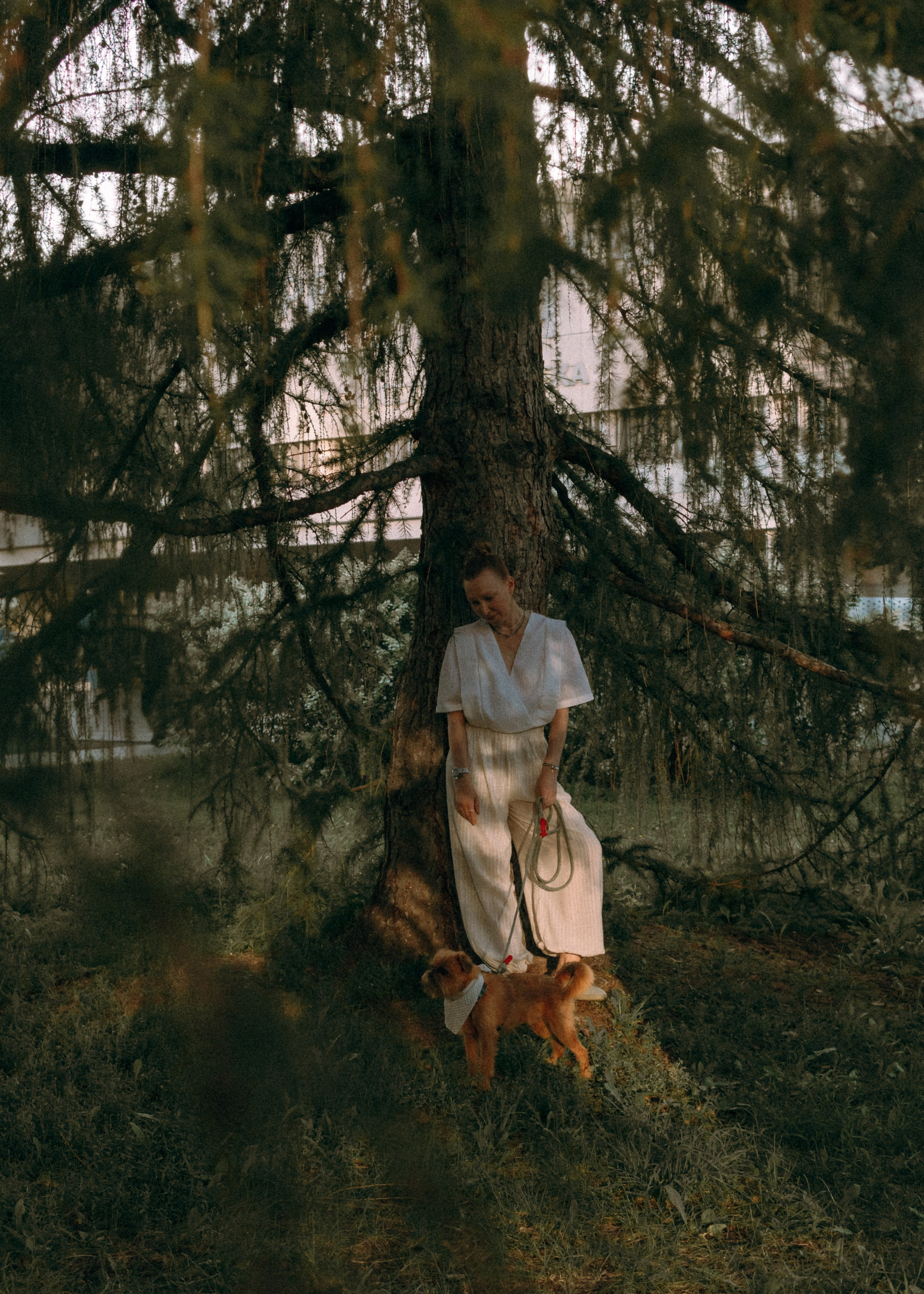 Лена и Альфи. Фотограф-анималист Ксения Воробьева, Москва