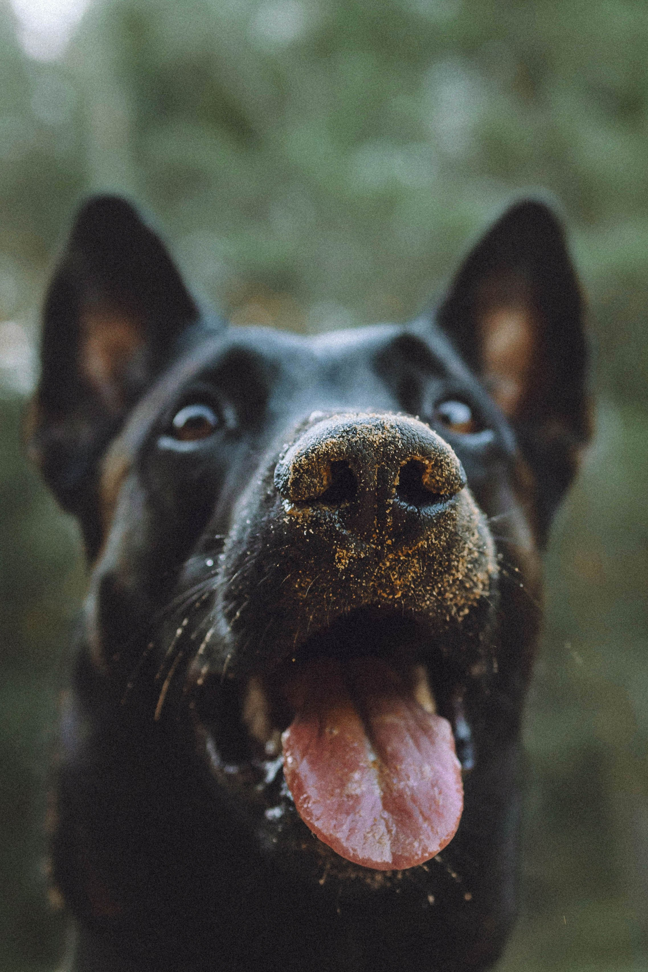 Таня, Ерш и Оллик