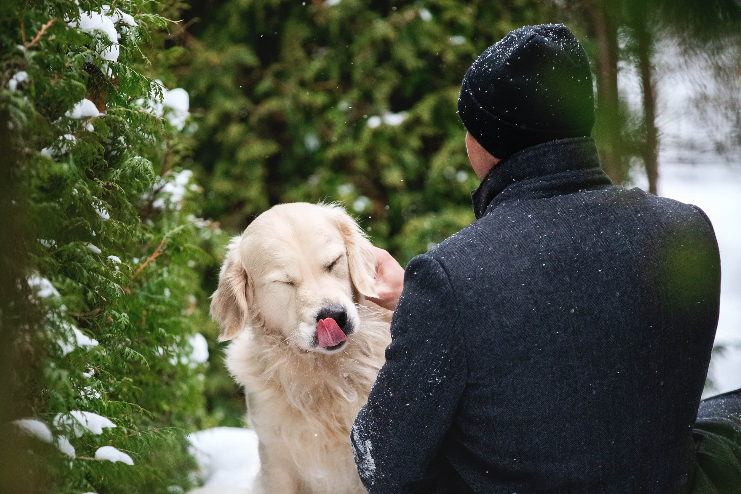 Фотосессия хозяина и ретривера. Фотограф-анималист в Москве и Московской области Татьяна Фролова