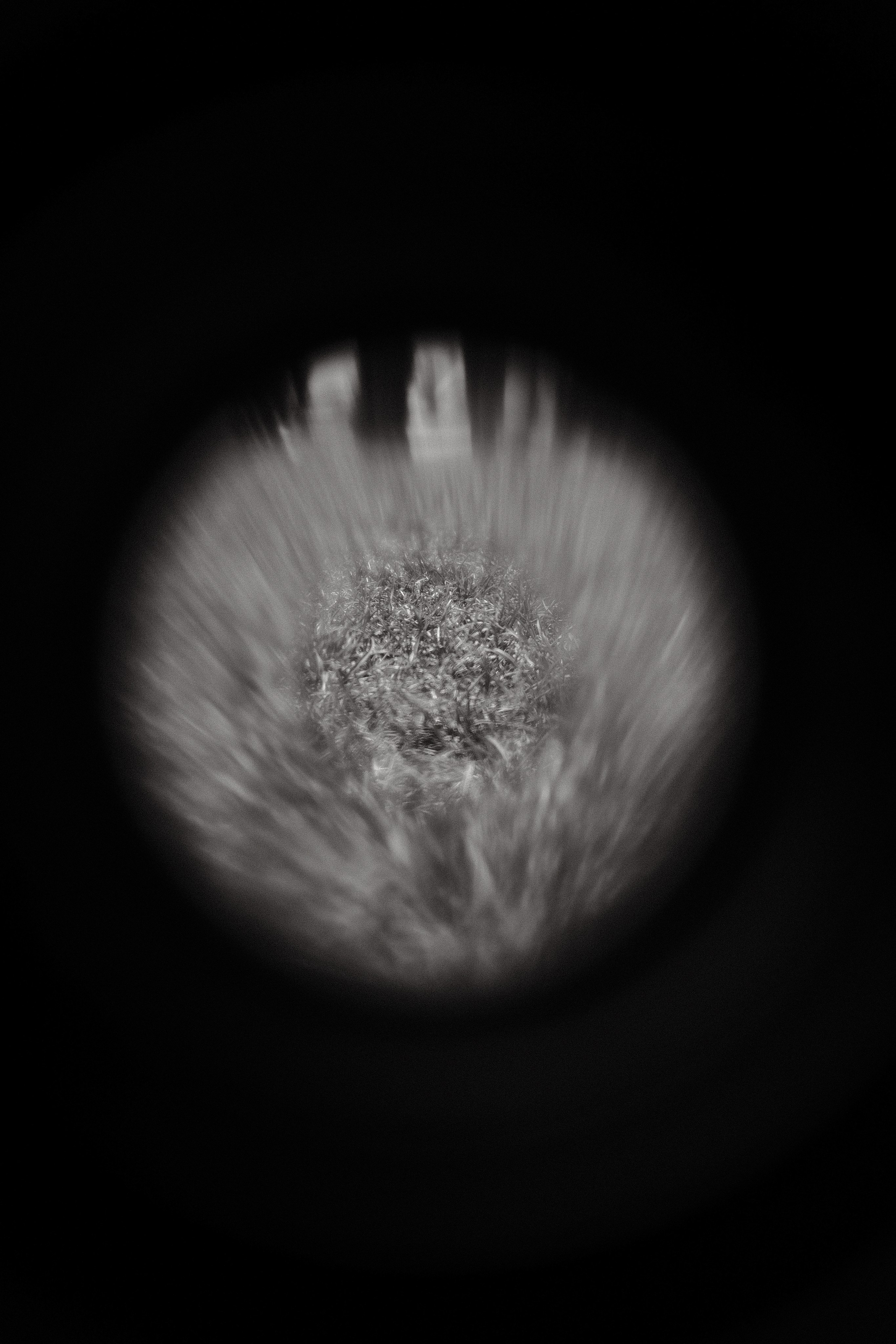 Фото Портфолио Рустам Нерустам