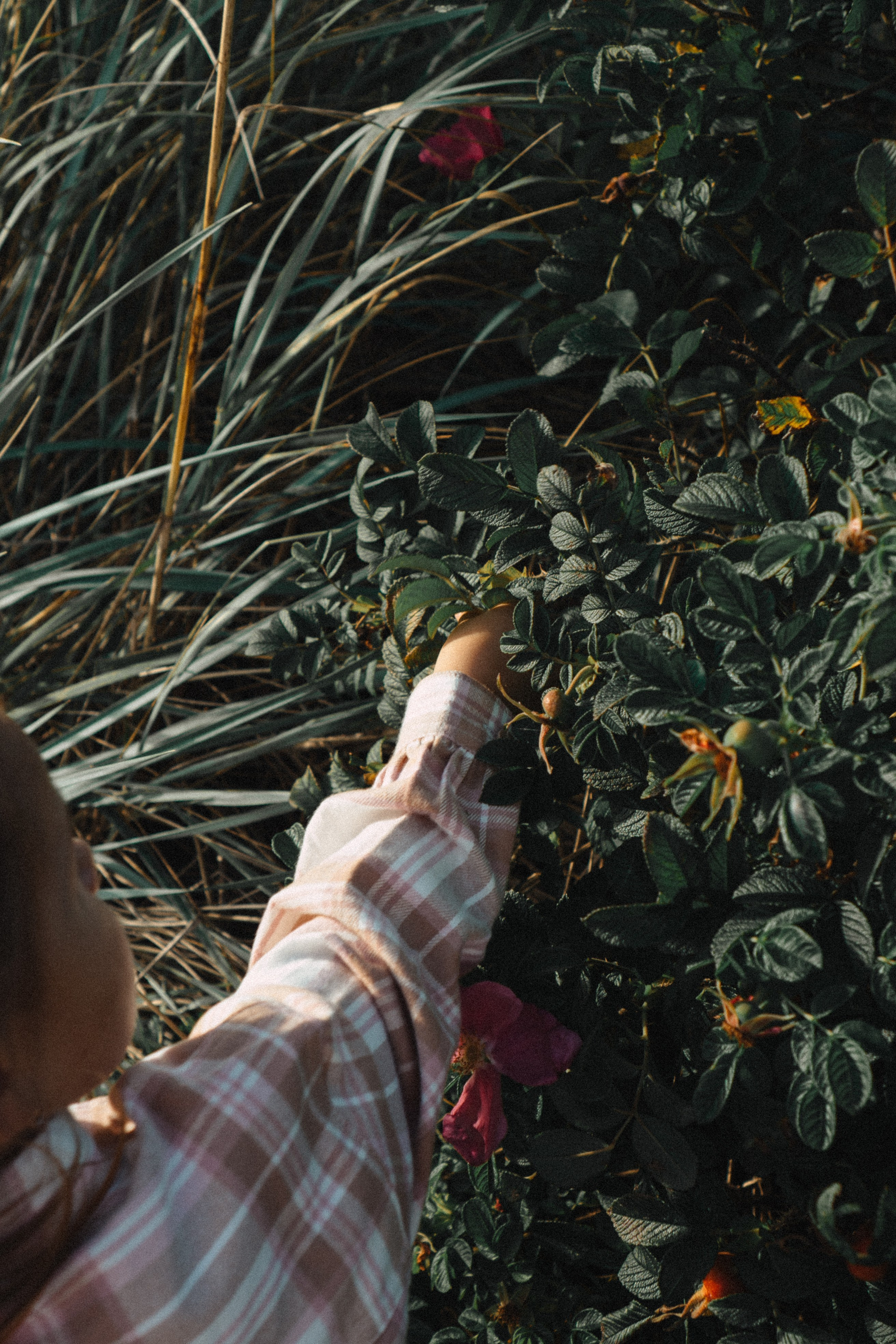 МАМА И ДОЧКА НА ФИНСКОМ ЗАЛИВЕ. Профессиональный фотограф, Санкт-Петербург — Виктория Богомолова