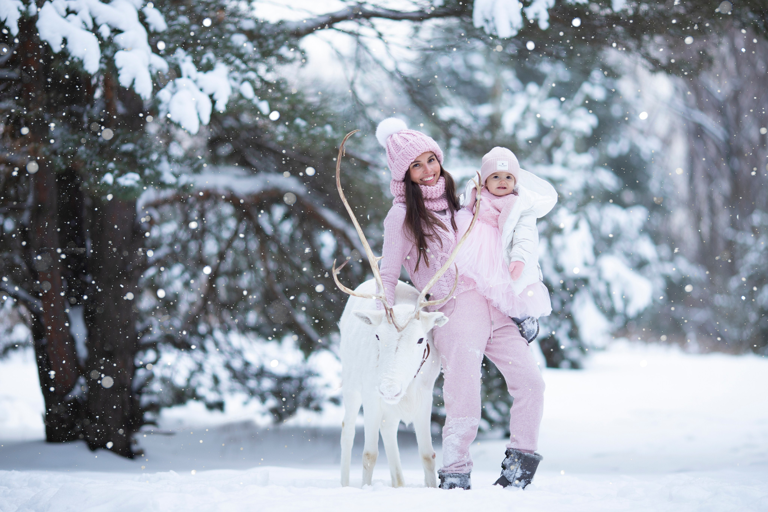 Зимние фотосессии с животными на улице. Фотопроекты, фотодни и фотосессии в Москве