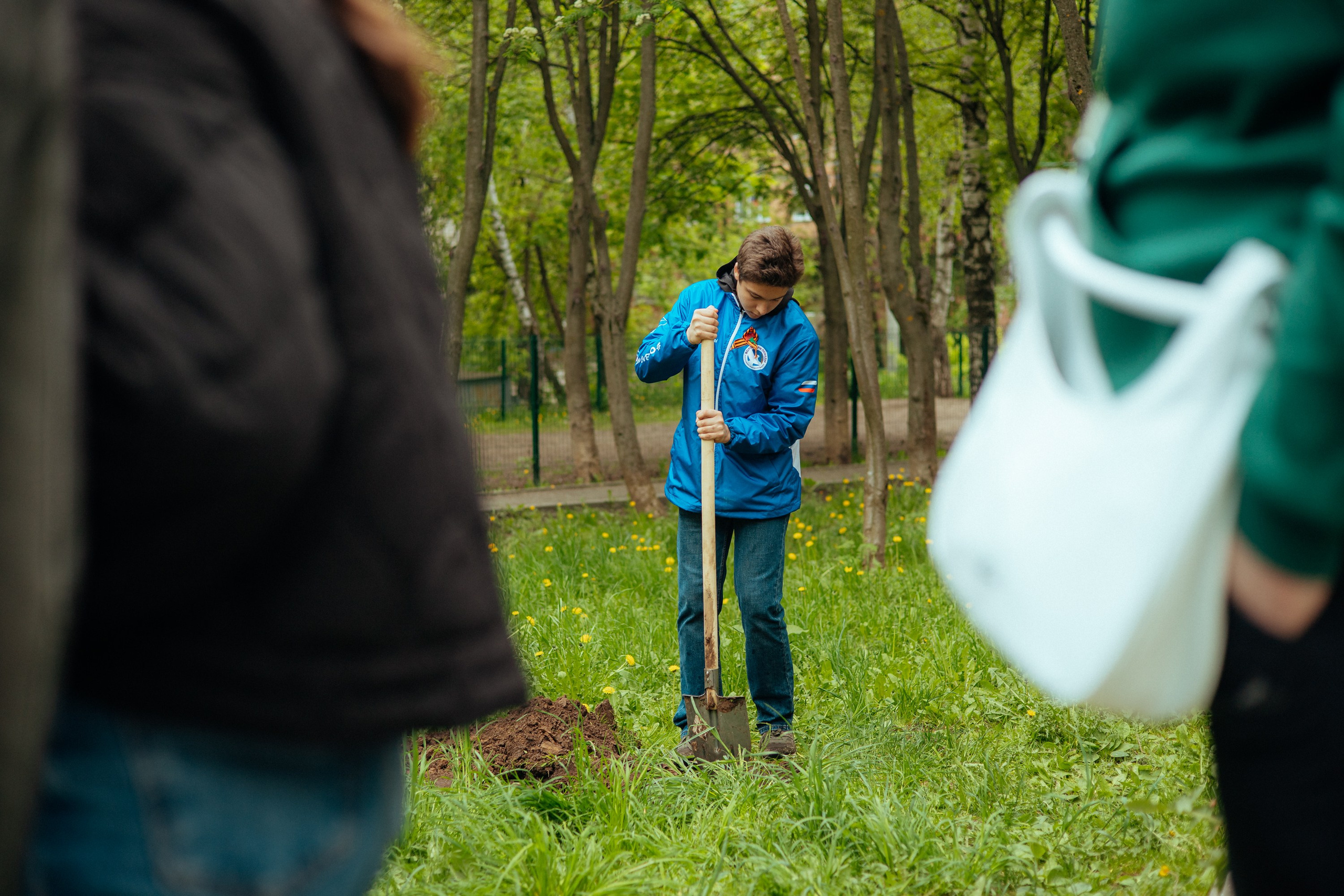 Сад памяти | волонтеры победы
