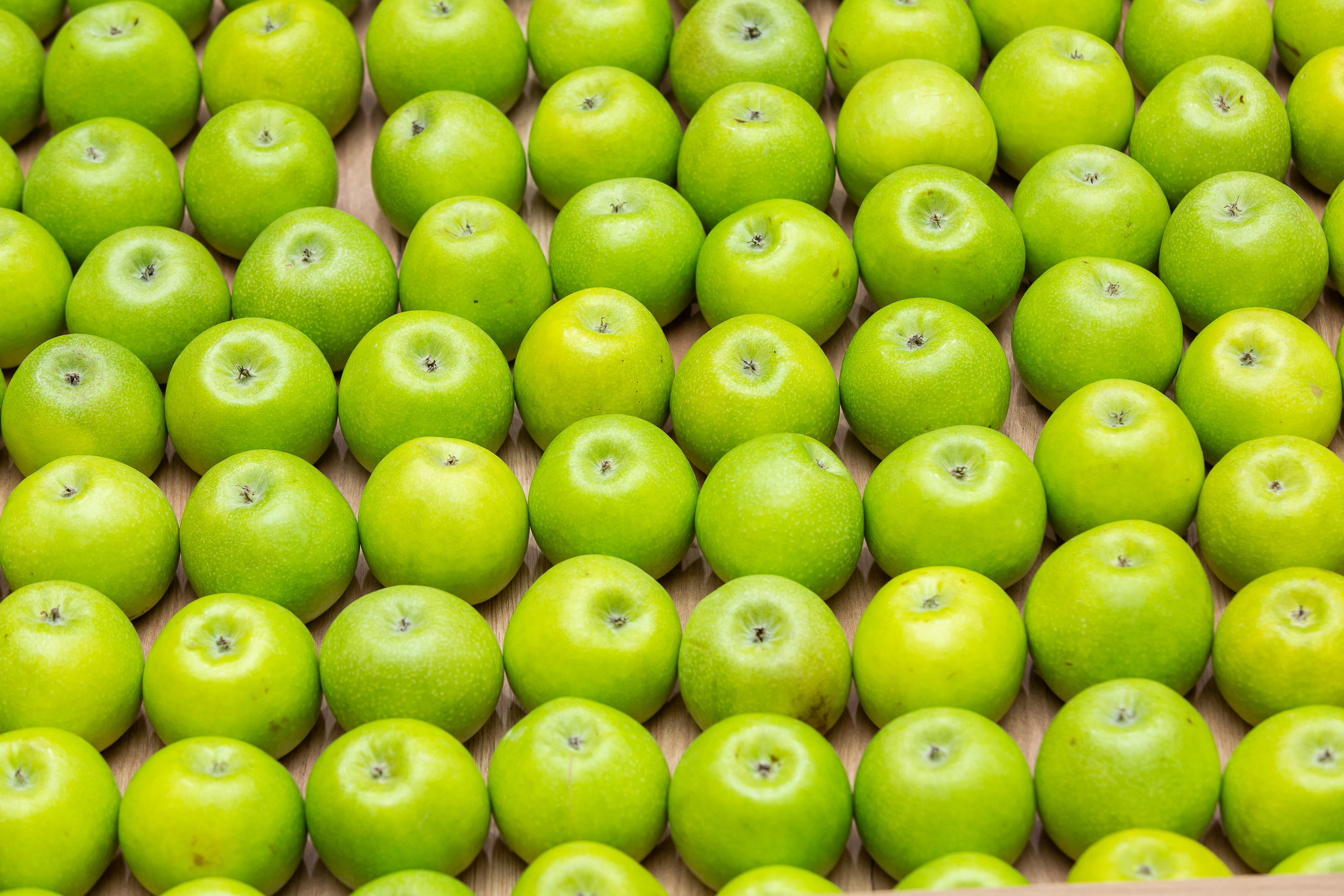 Деловой репортаж. Сергей Гусев — спортивная фотография, виртуальные туры, 3д панорамы