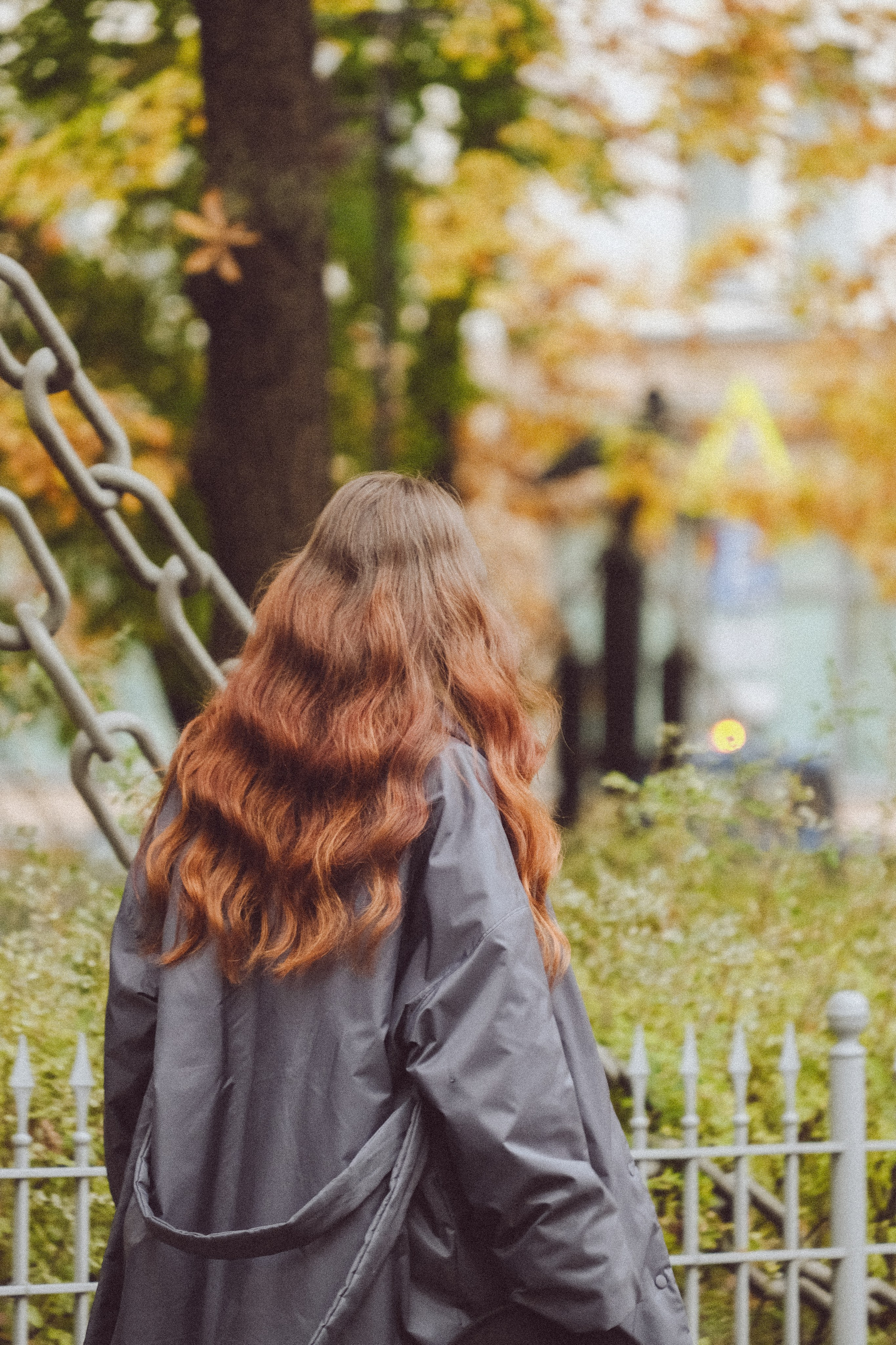 Осень. Профессиональный фотограф, Санкт-Петербург — Виктория Богомолова