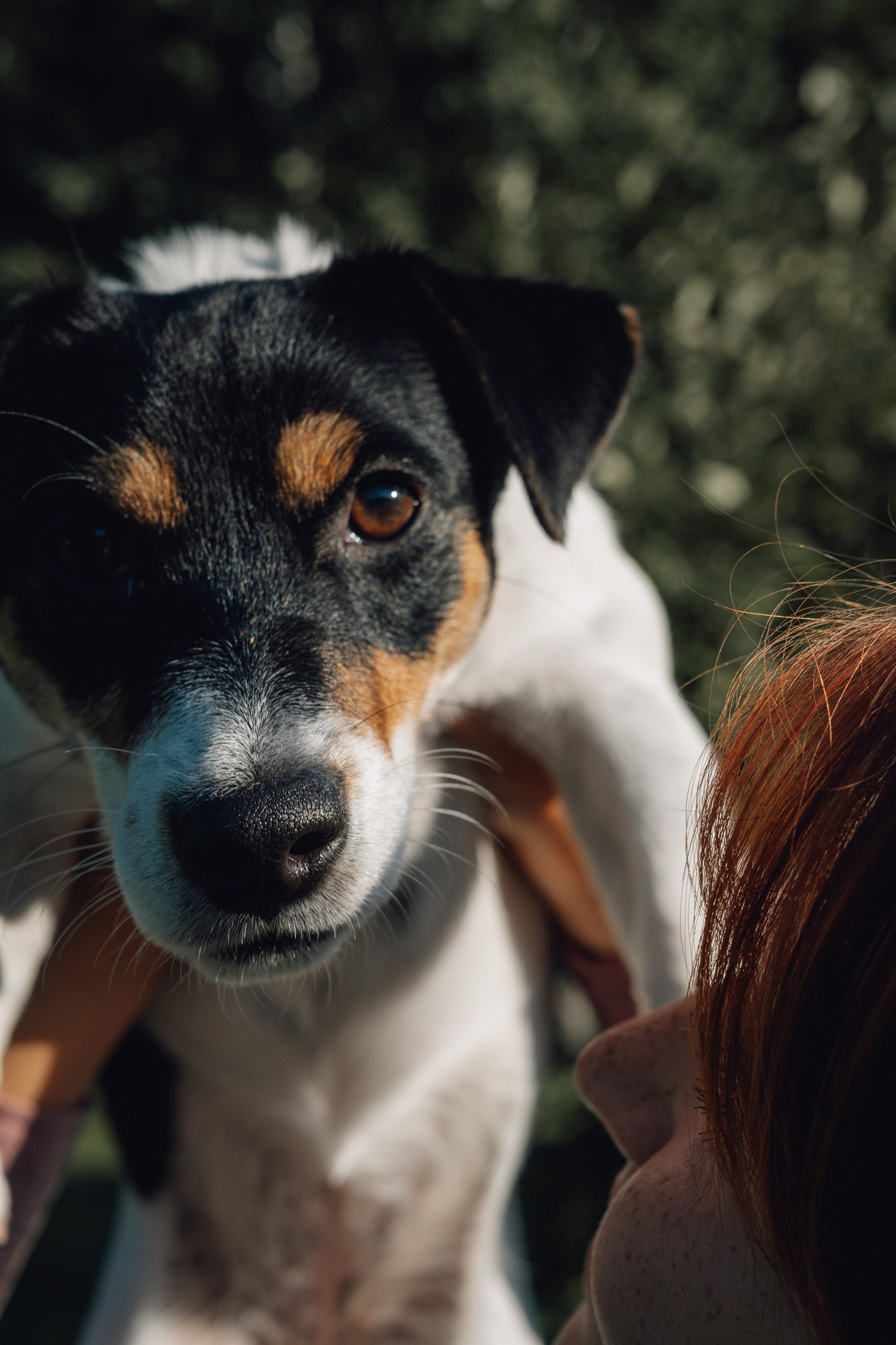 Аня и Луна. Фотограф и видеограф в Тюмени Екатерина Чернецкая