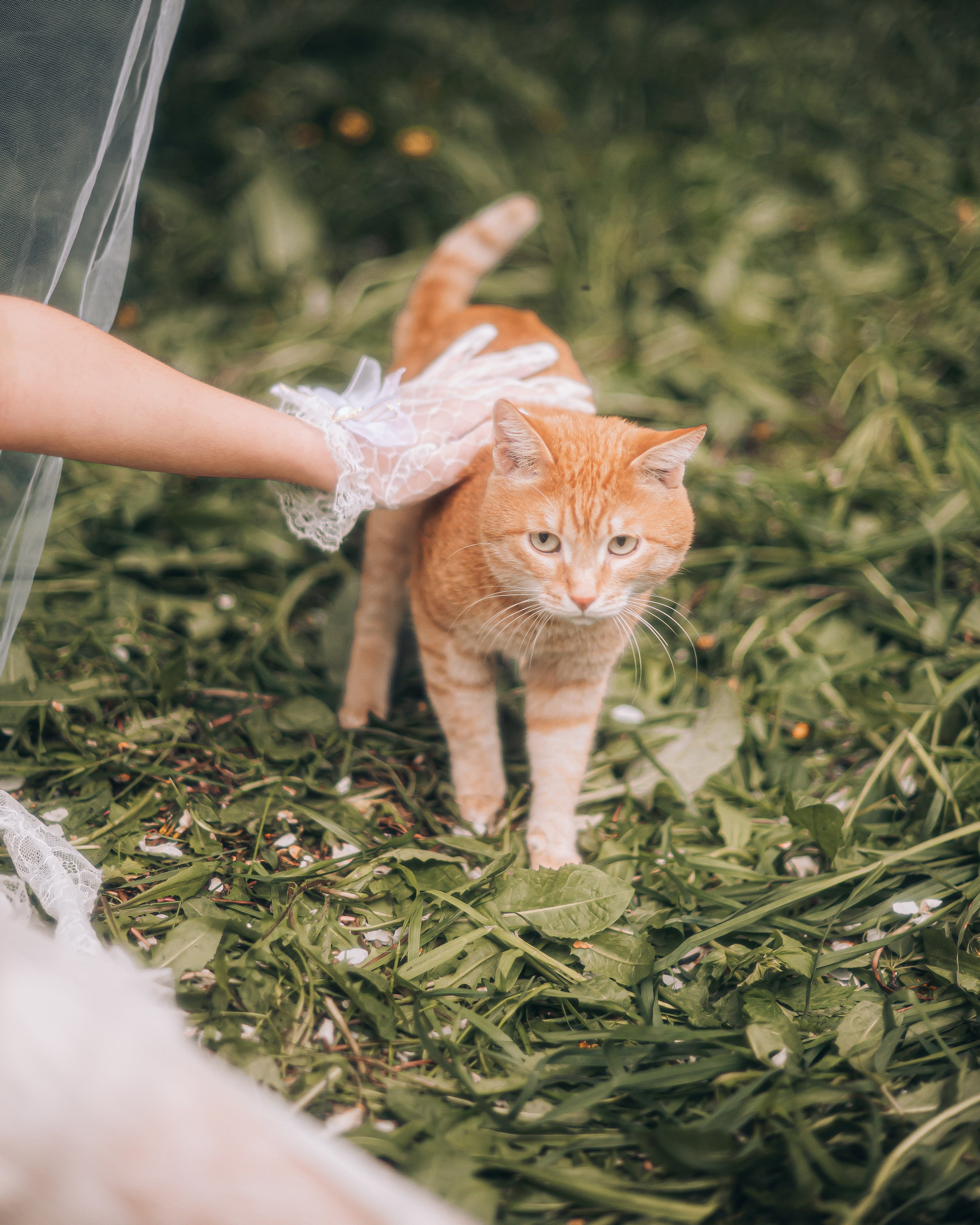 Фотосессия в цветении в Кузбасском парке г. Кемерово