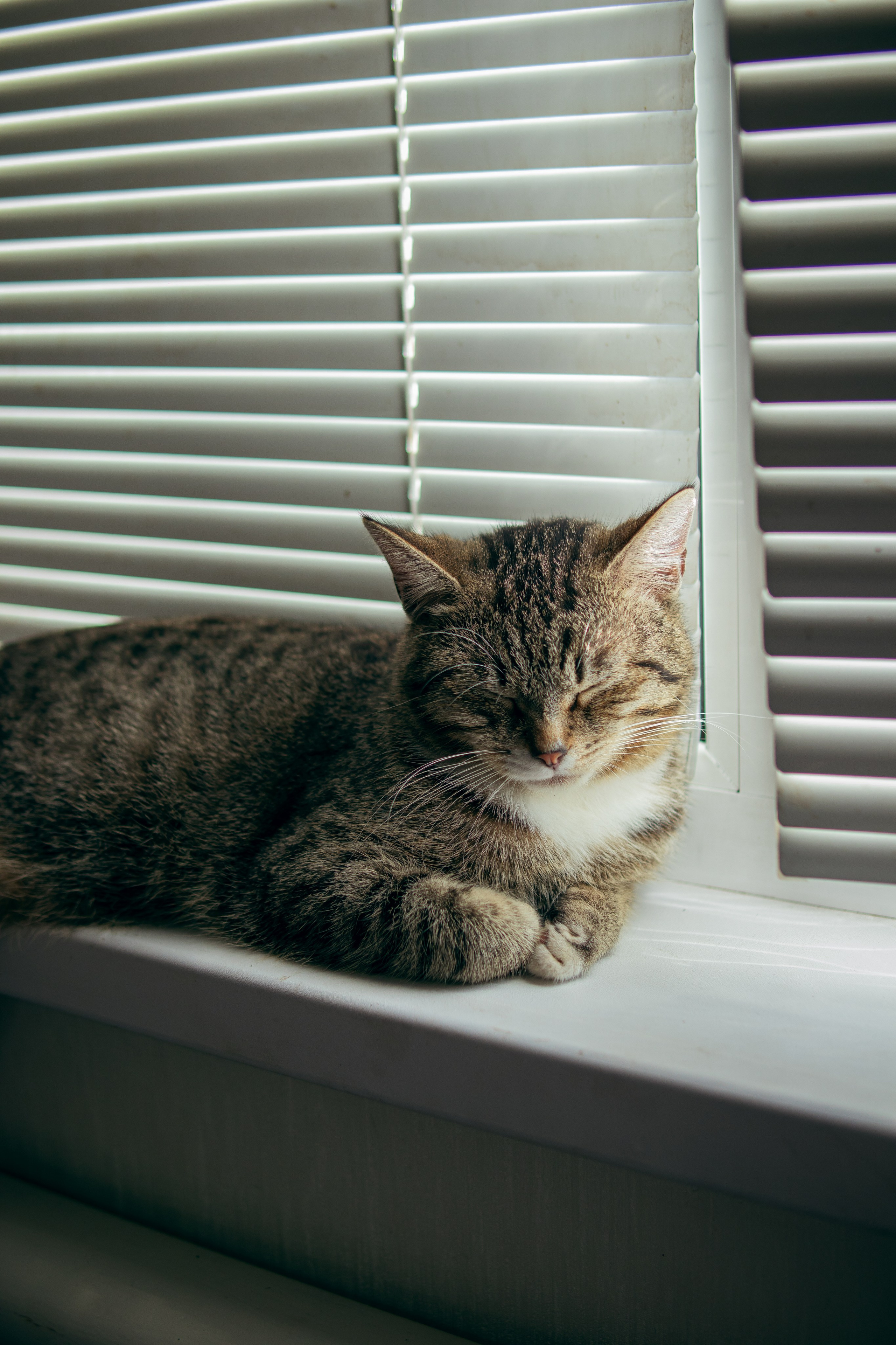 Данису пол года. Фотограф и видеограф в Бугульме Аня Трутнева
