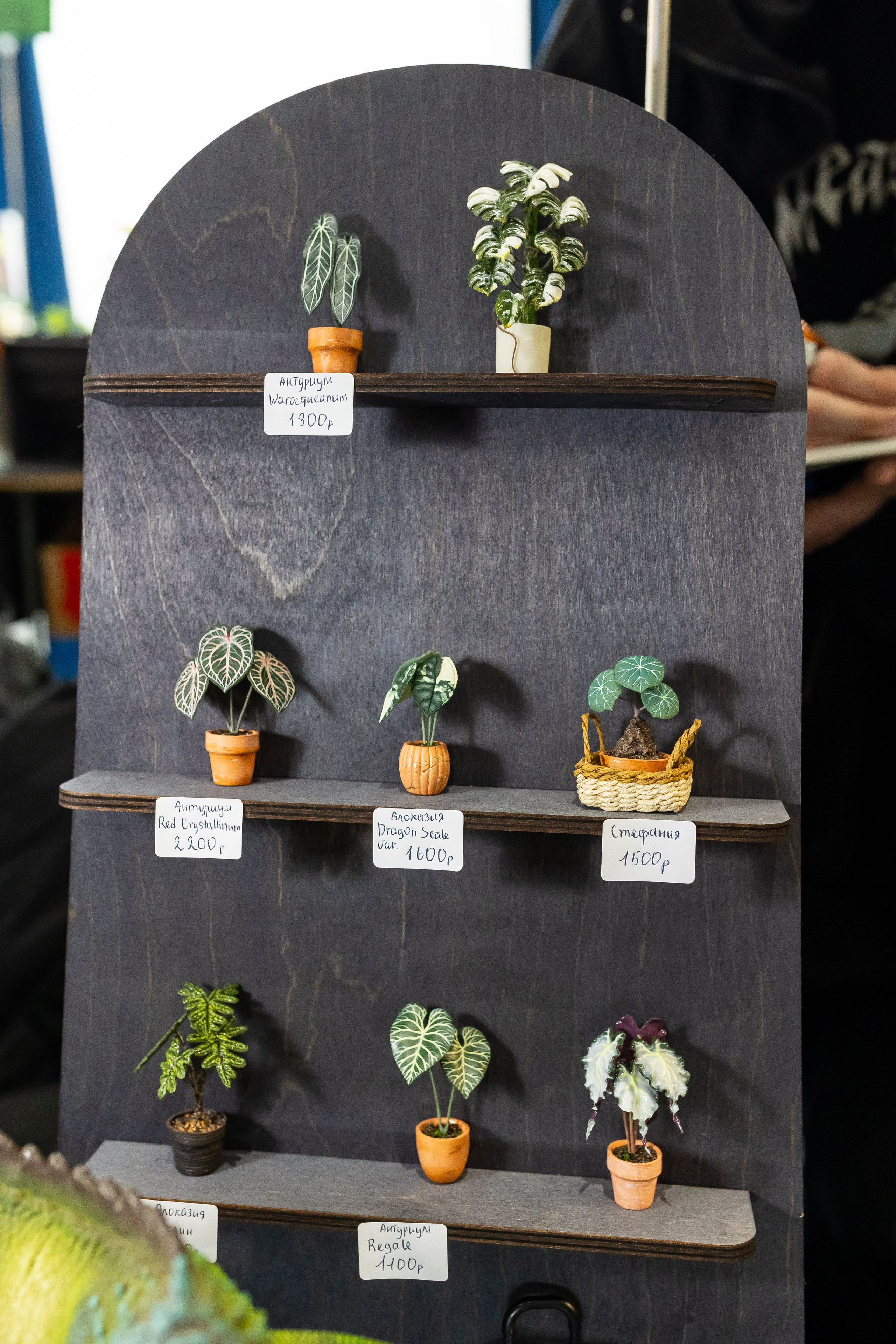 Монстериум апрель 2025. Александра Куликова фотограф, Москва