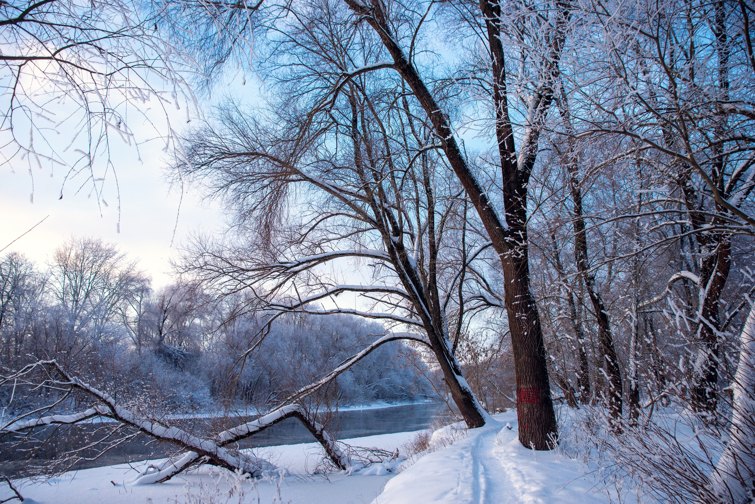 Зимушка зима. Фотограф Крещение Венчание Москва