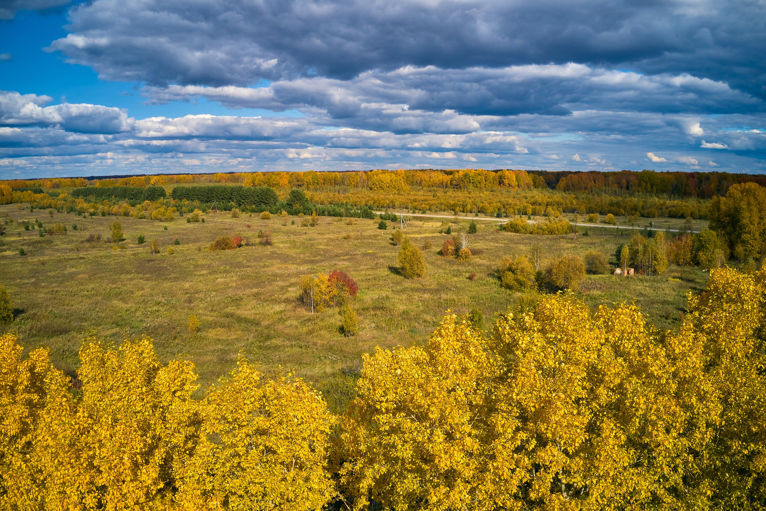 Съемка в полете. DMITRY MOISEENKO — фотограф, художник, топ-стилист