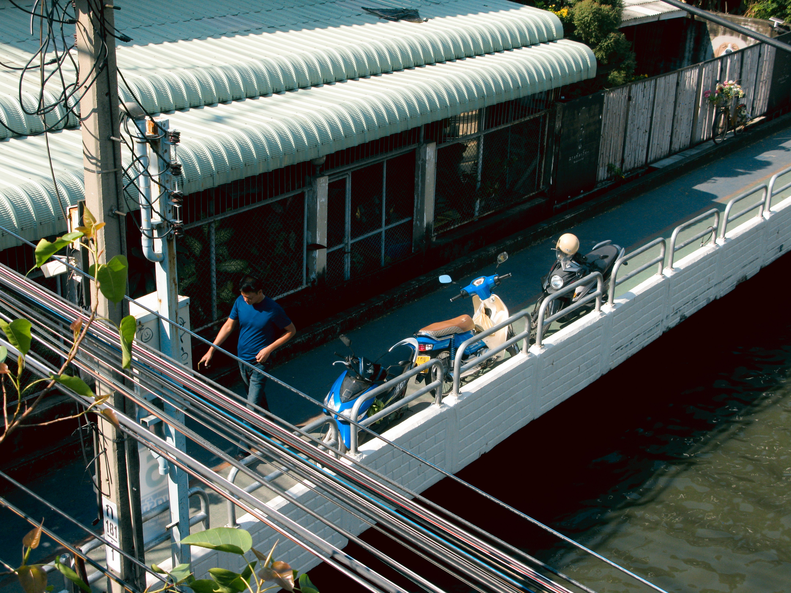 Thai. Фотограф Миланазавр