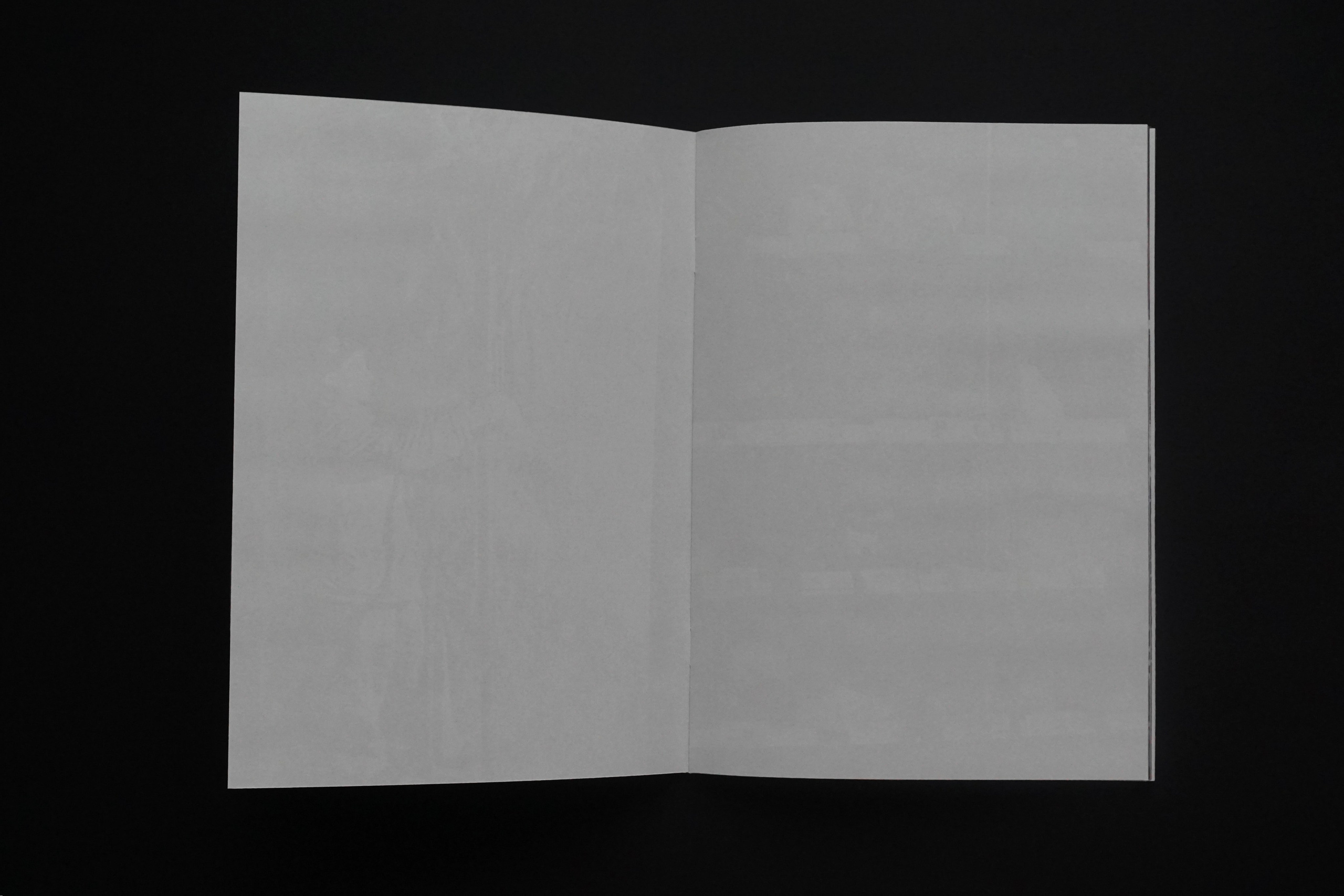 Overview. Anastasia Maryasova