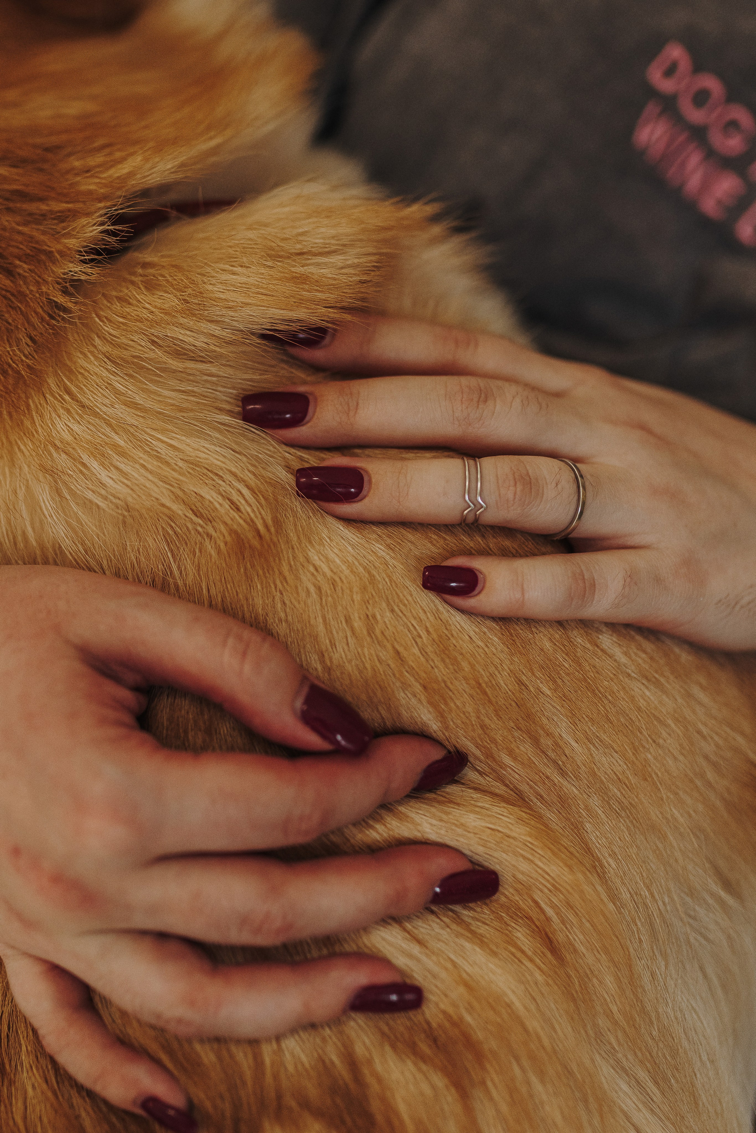 Александра и Бри. Фотограф анималист в Спб недорого Олеся Майорова