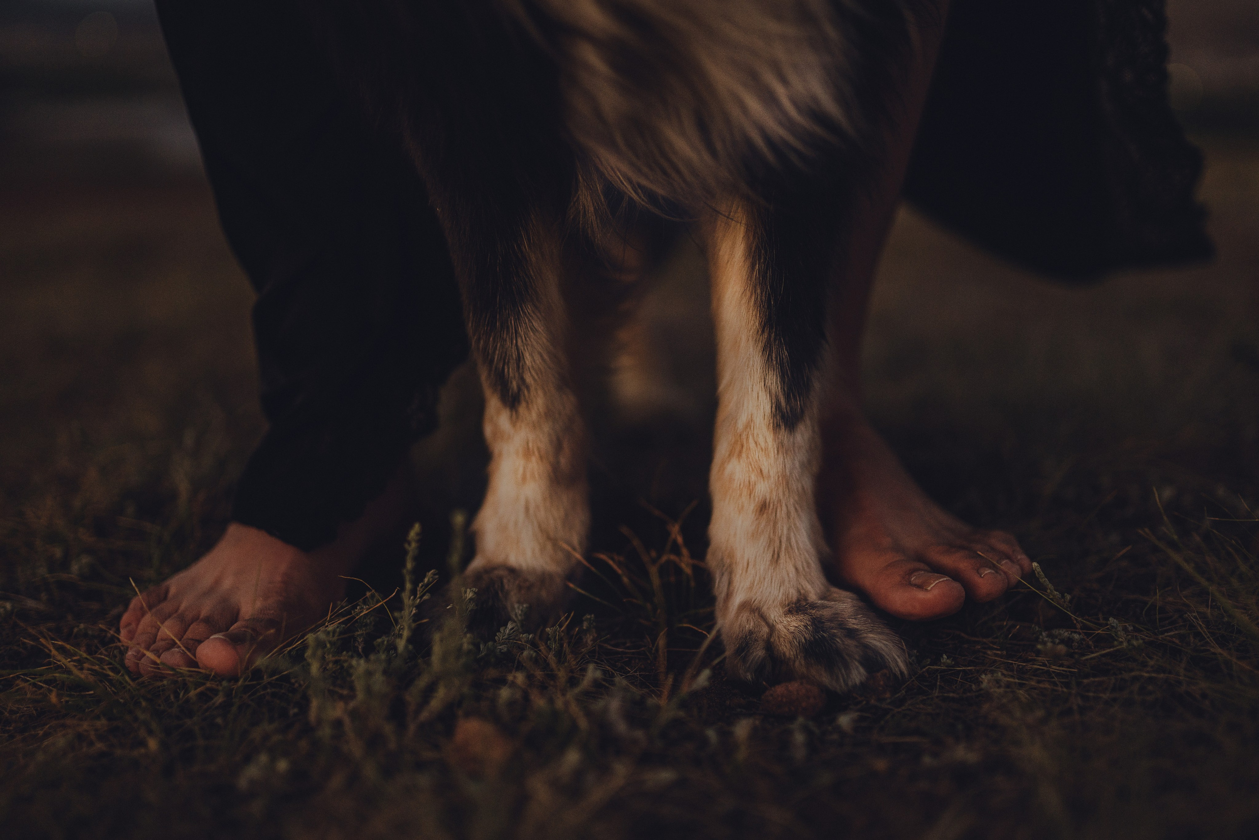 Настя и Умка. Фотограф анималист в Спб недорого Олеся Майорова