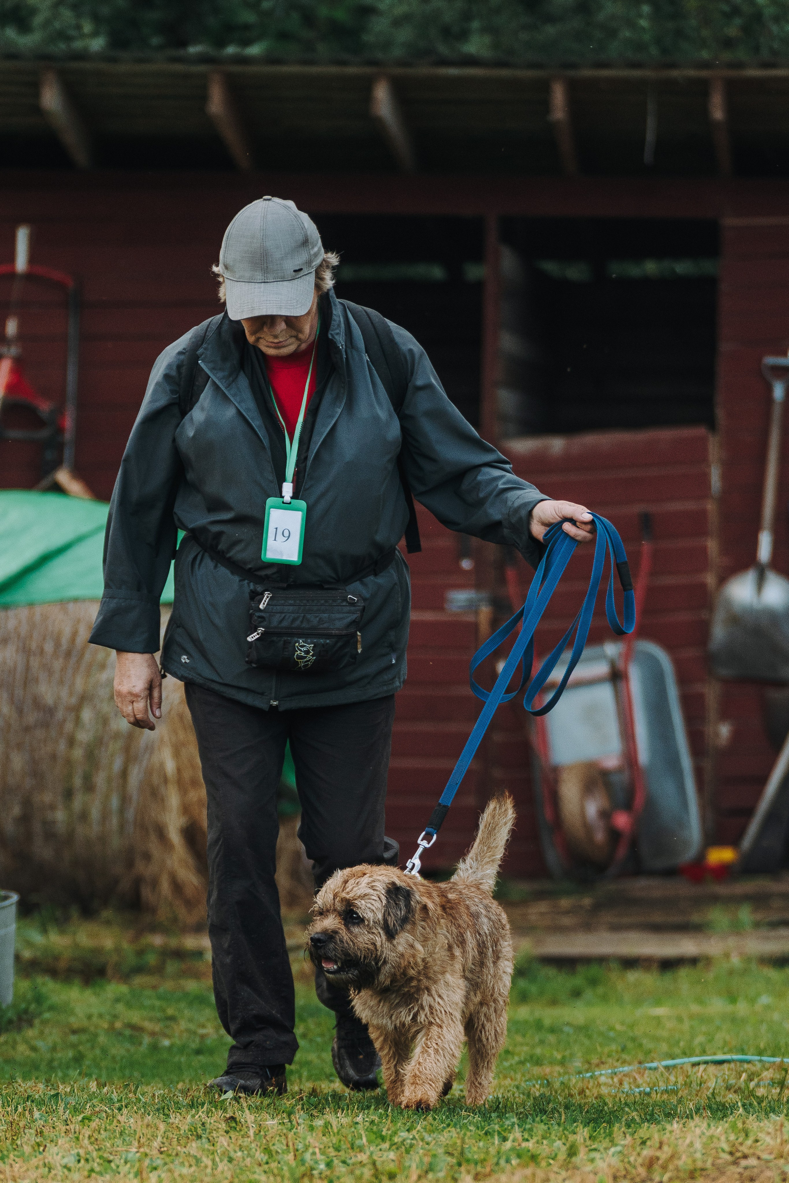 Соревнования по ноузворку в Новожилово. Фотограф анималист в Спб недорого Олеся Майорова