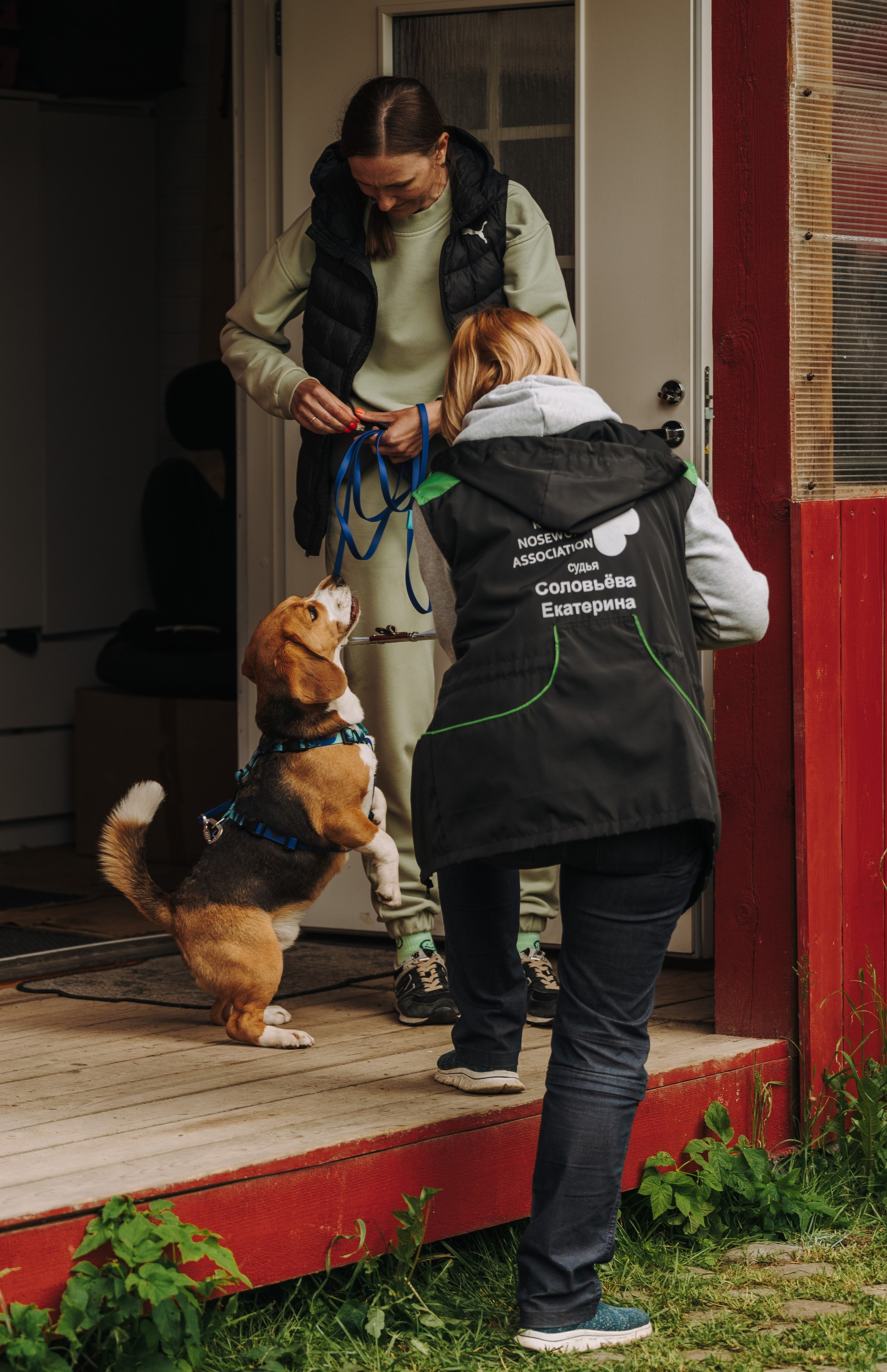 Соревнования по ноузворку. Фотограф анималист в Спб недорого Олеся Майорова