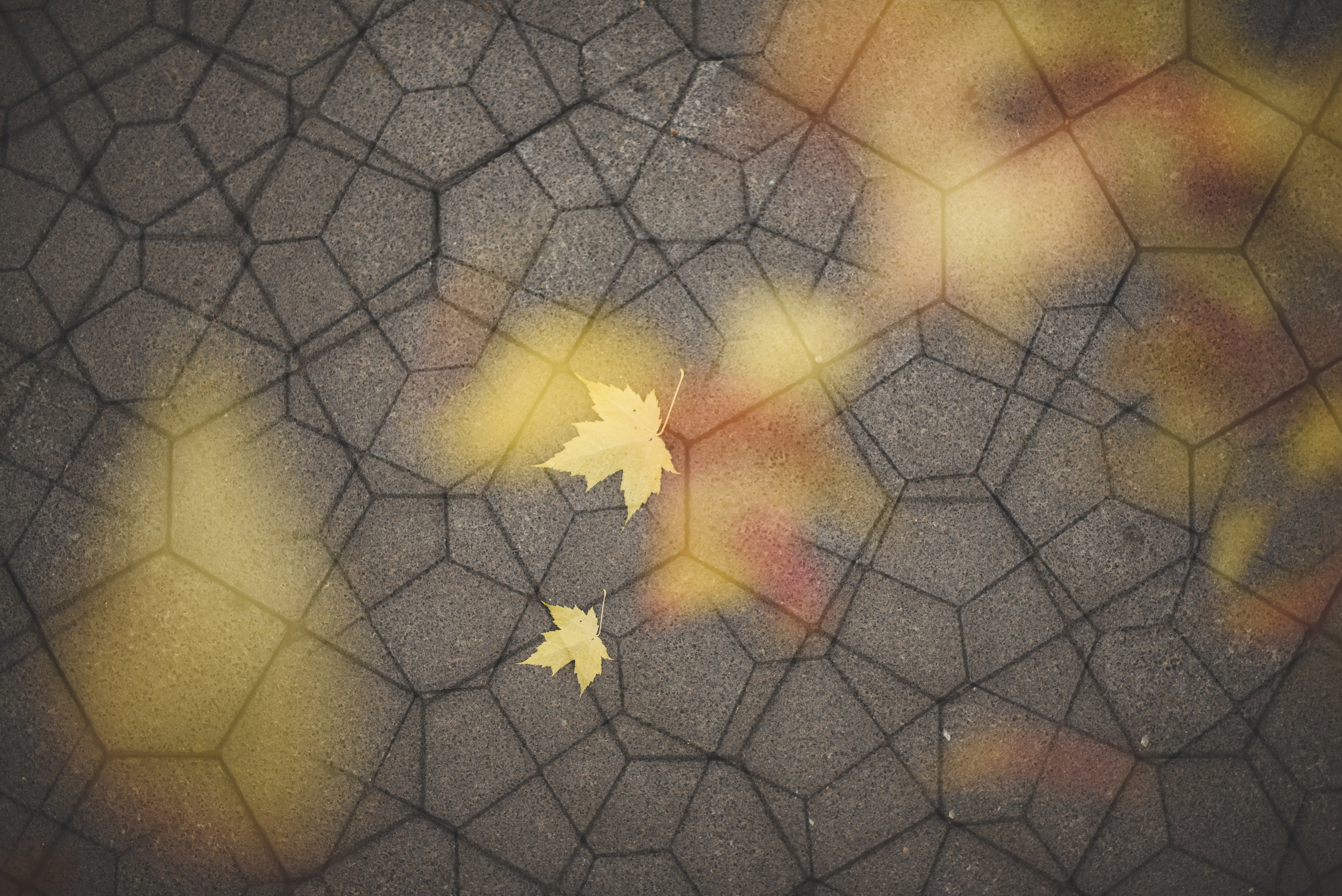 Nature. Anastasia Serdyuk, travel photographer, travel photo, portraits, stories, fineart prints