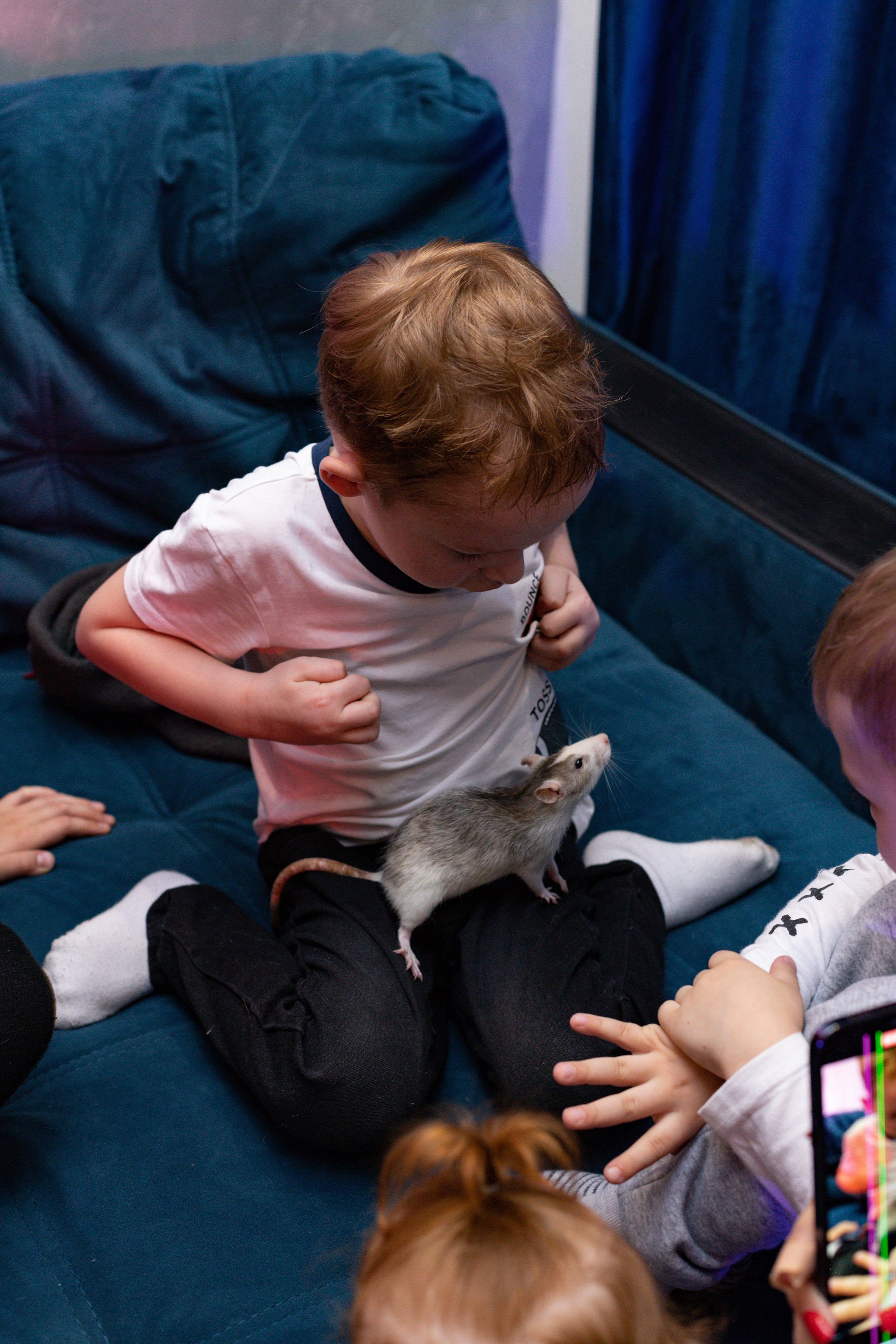 ZAHAR 5 YEAR / BIRTHDAY. Photokarish