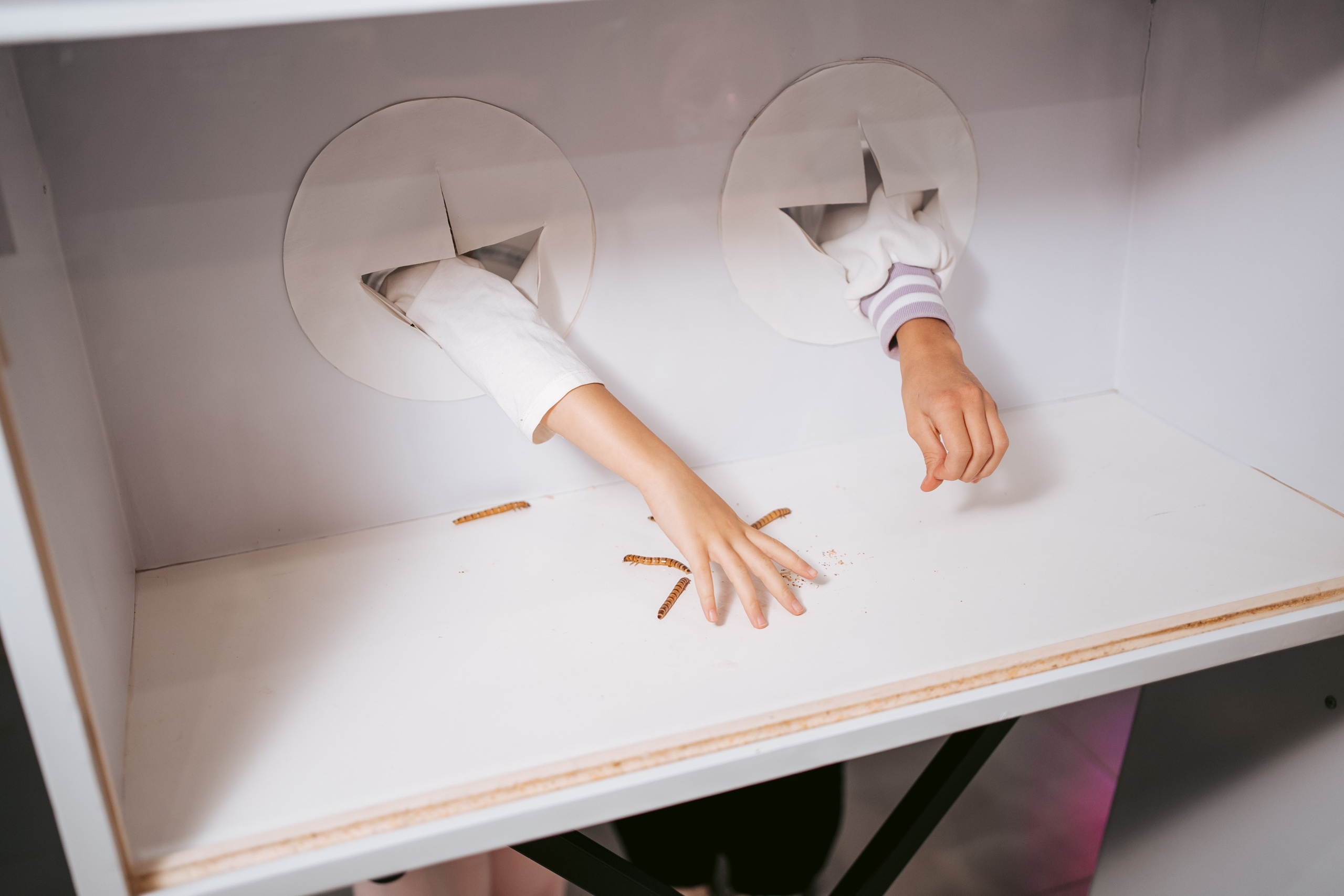 Артишок. Фотограф на любое событие в Кемерово