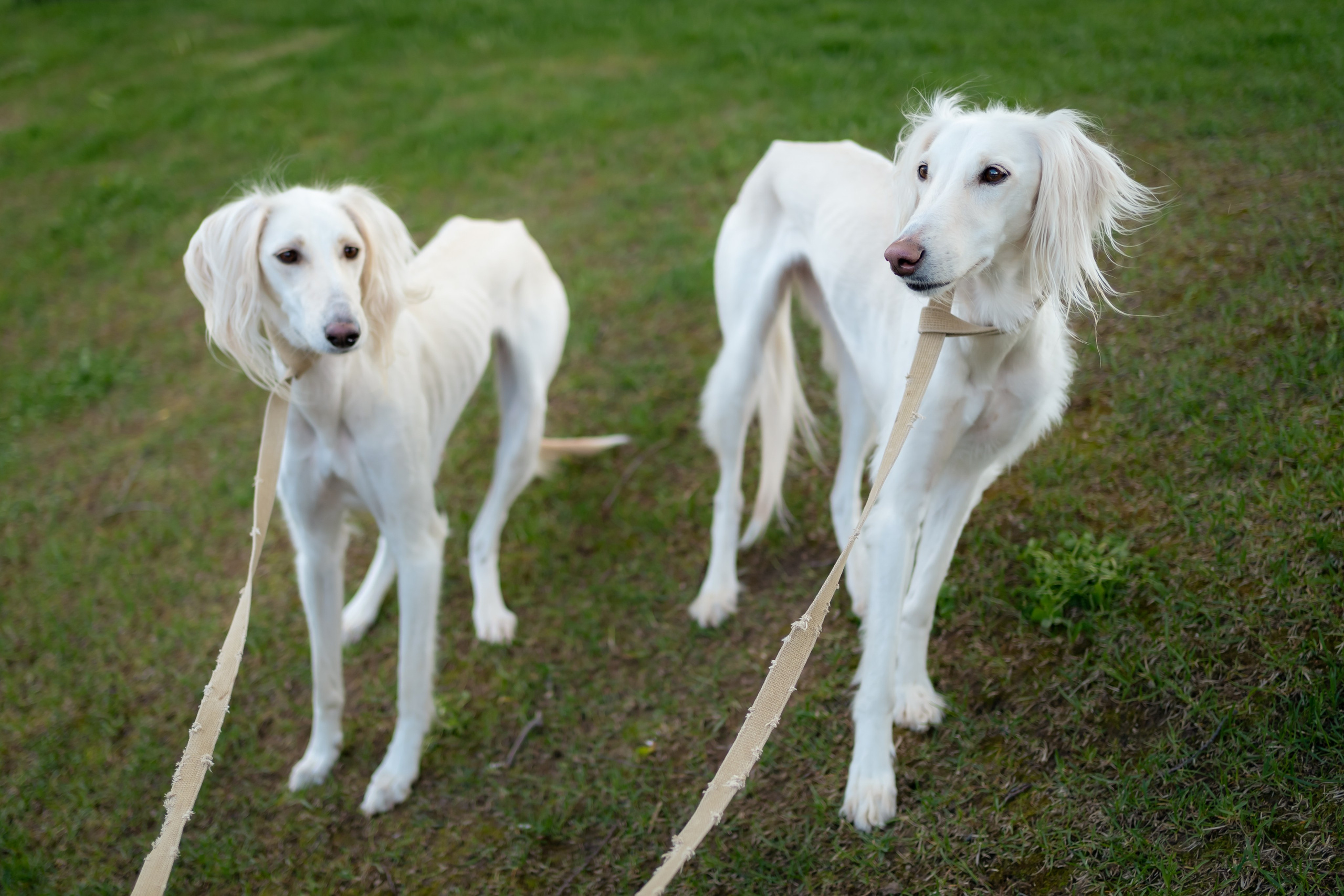 Софья с семьёй на ВДНХ. Семейный фотограф Варвара Сорока в городе Москве