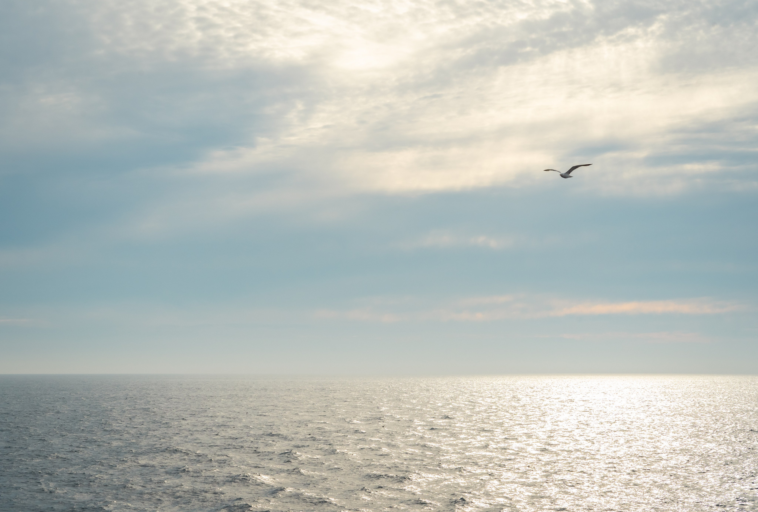 Сахалин. Семейный фотограф Варвара Сорока в городе Москве