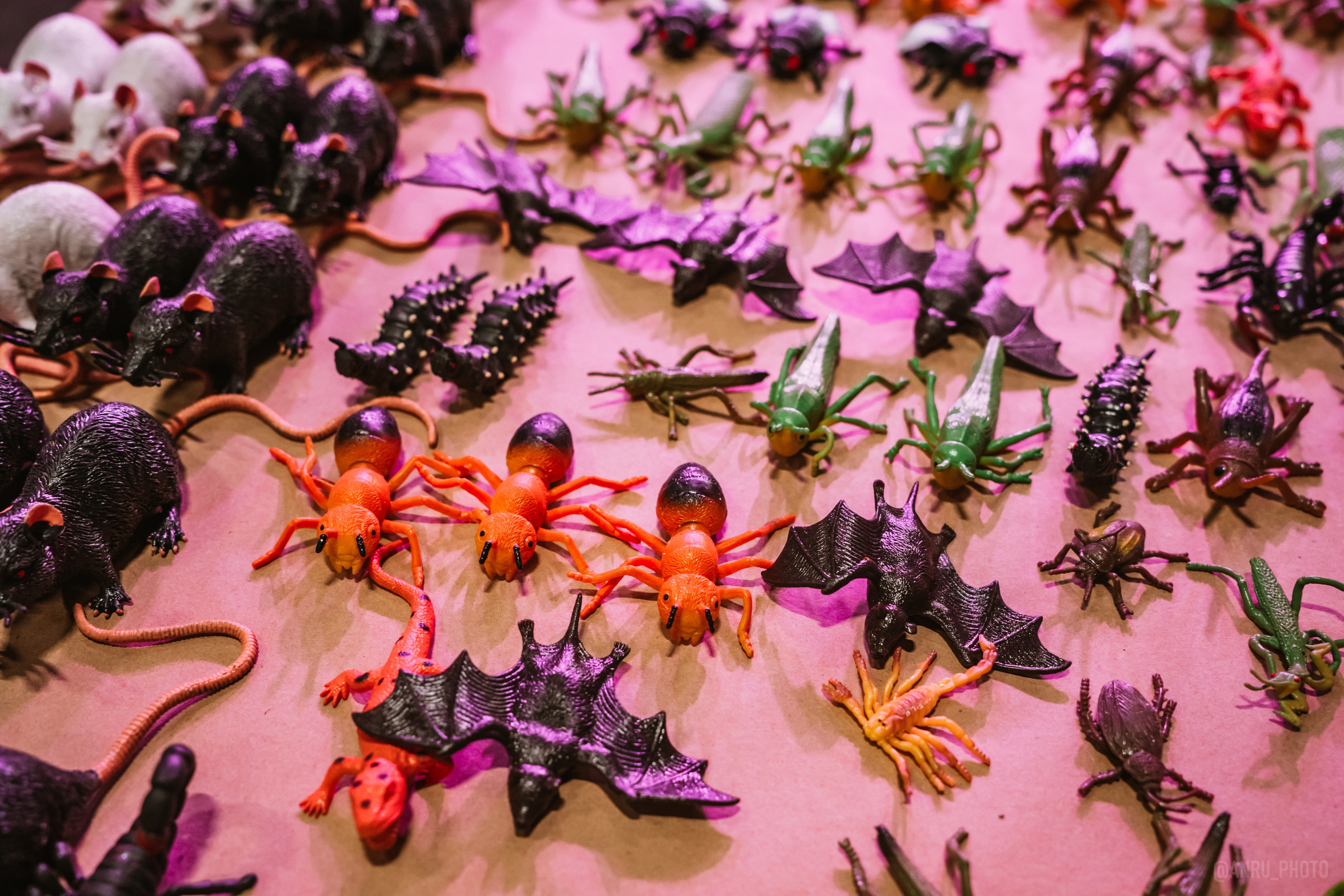 Рептилиум (ручная работа). Репортажный фотограф Анастасия Рубцова